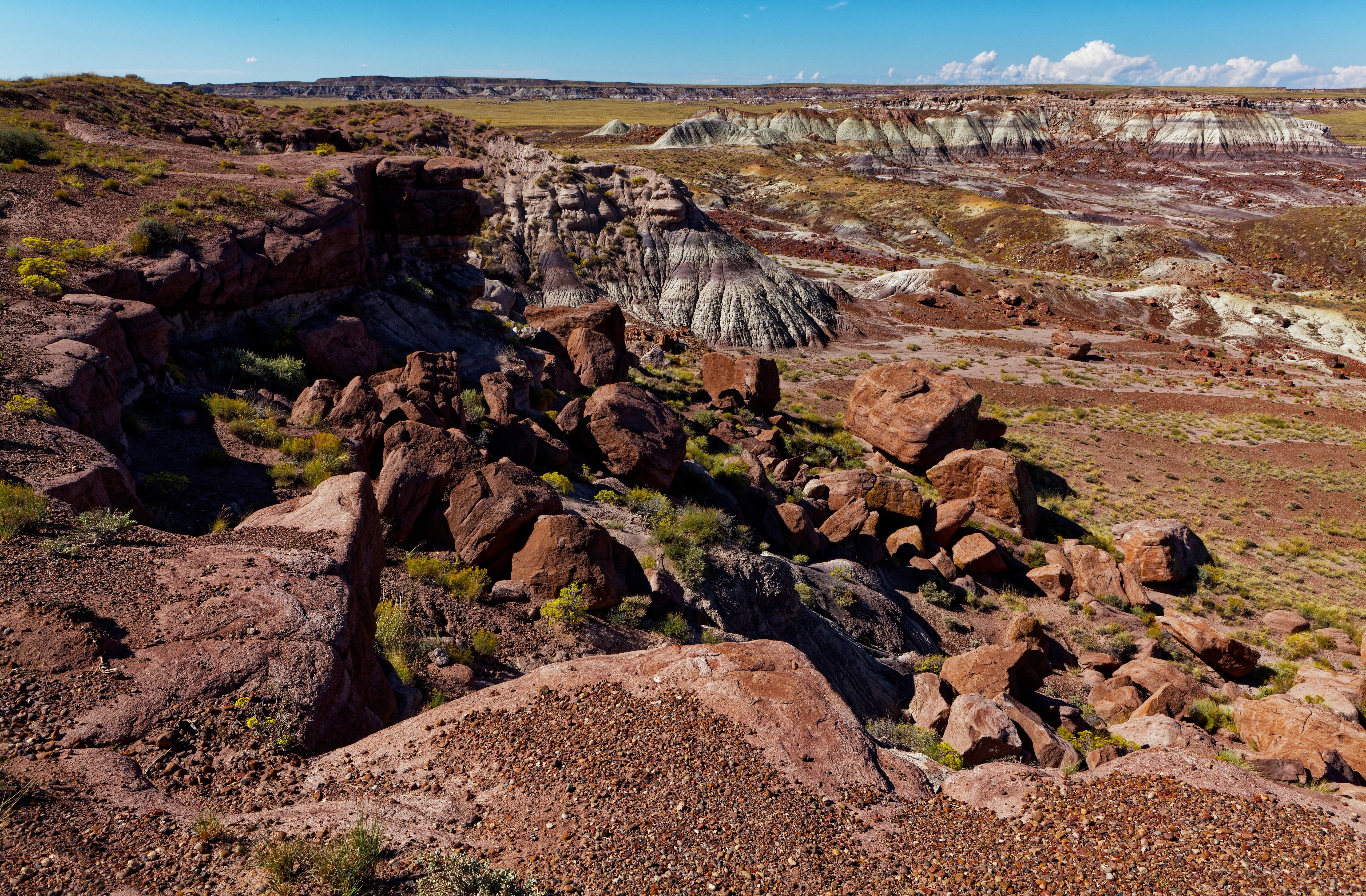 Petrified Forest National Park Stones USA HD Wallpaper