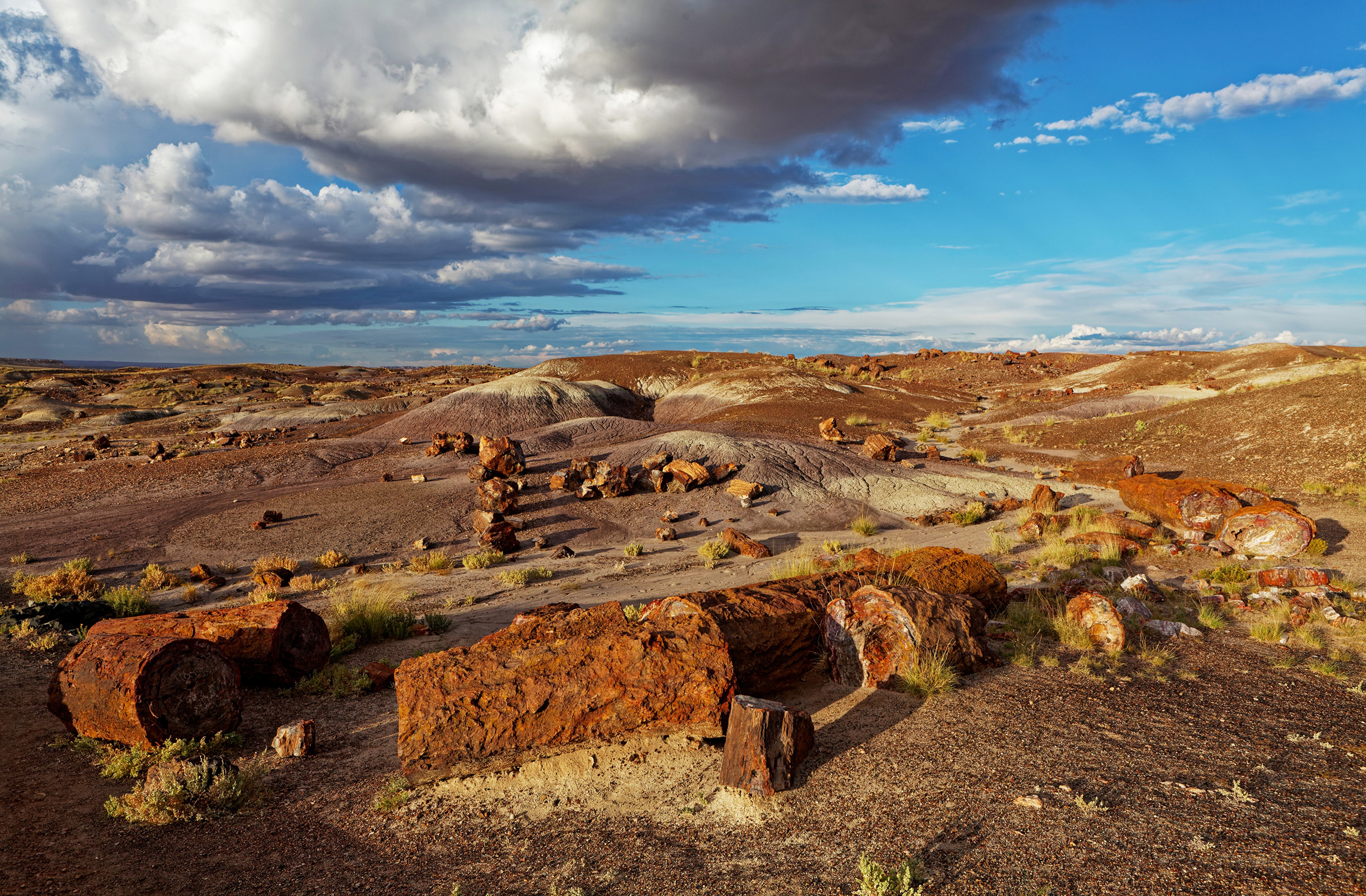 Petrified Forest National Park with Petrified Wood and Clouds HD Wallpaper