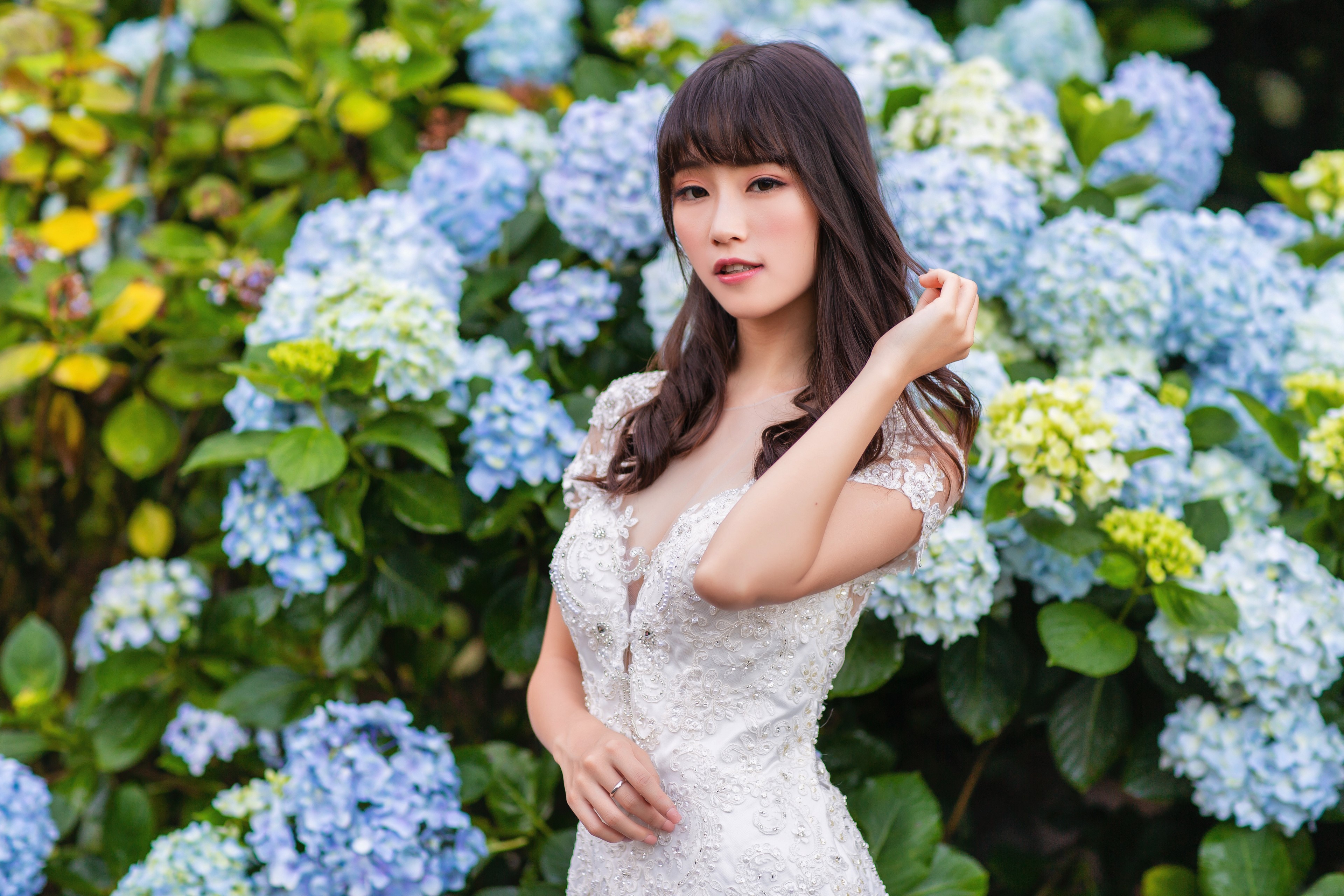Asian woman in white dress posing near hydrangeas HD Wallpaper