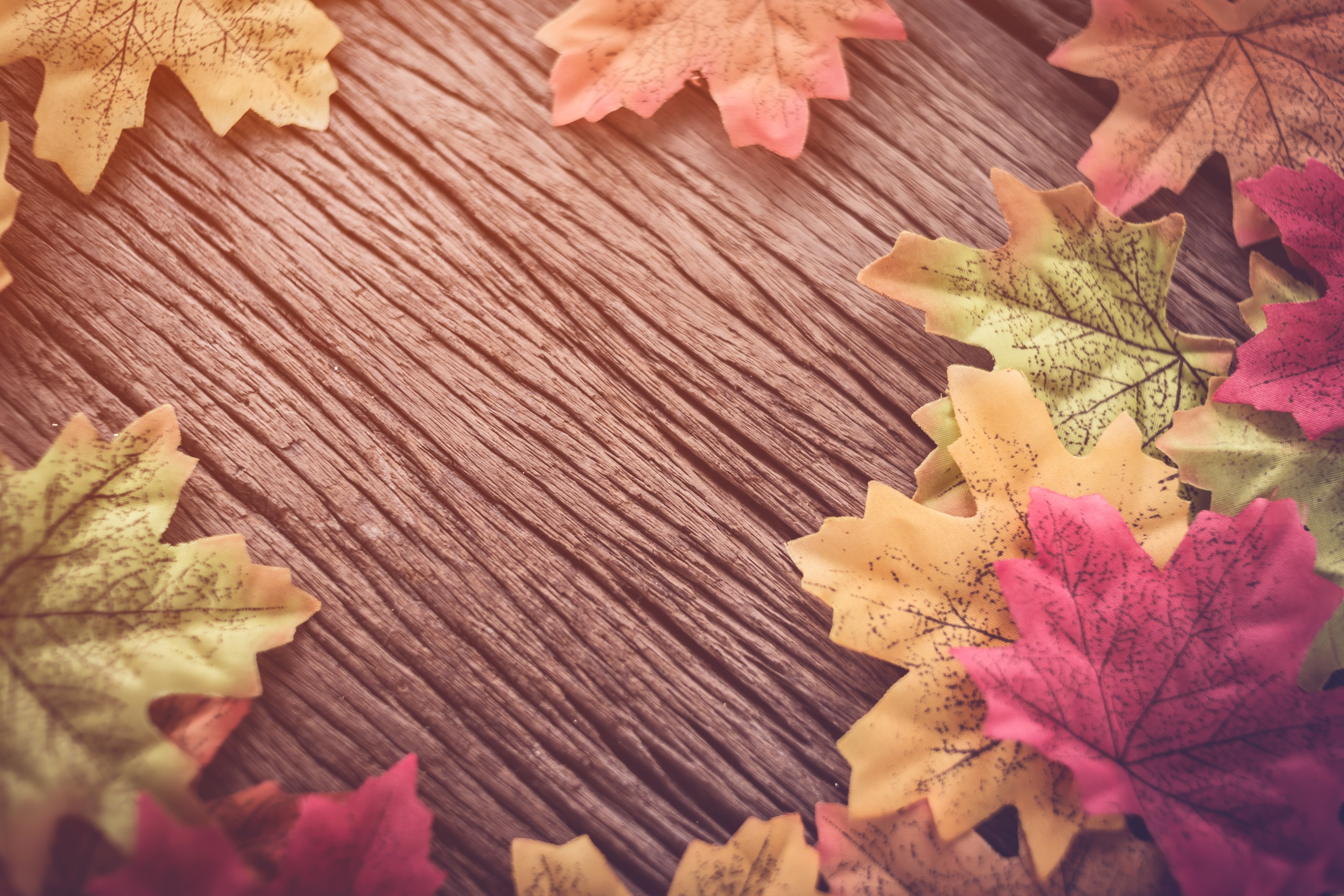Autumn Maple Leaves on Wooden Background HD Wallpaper