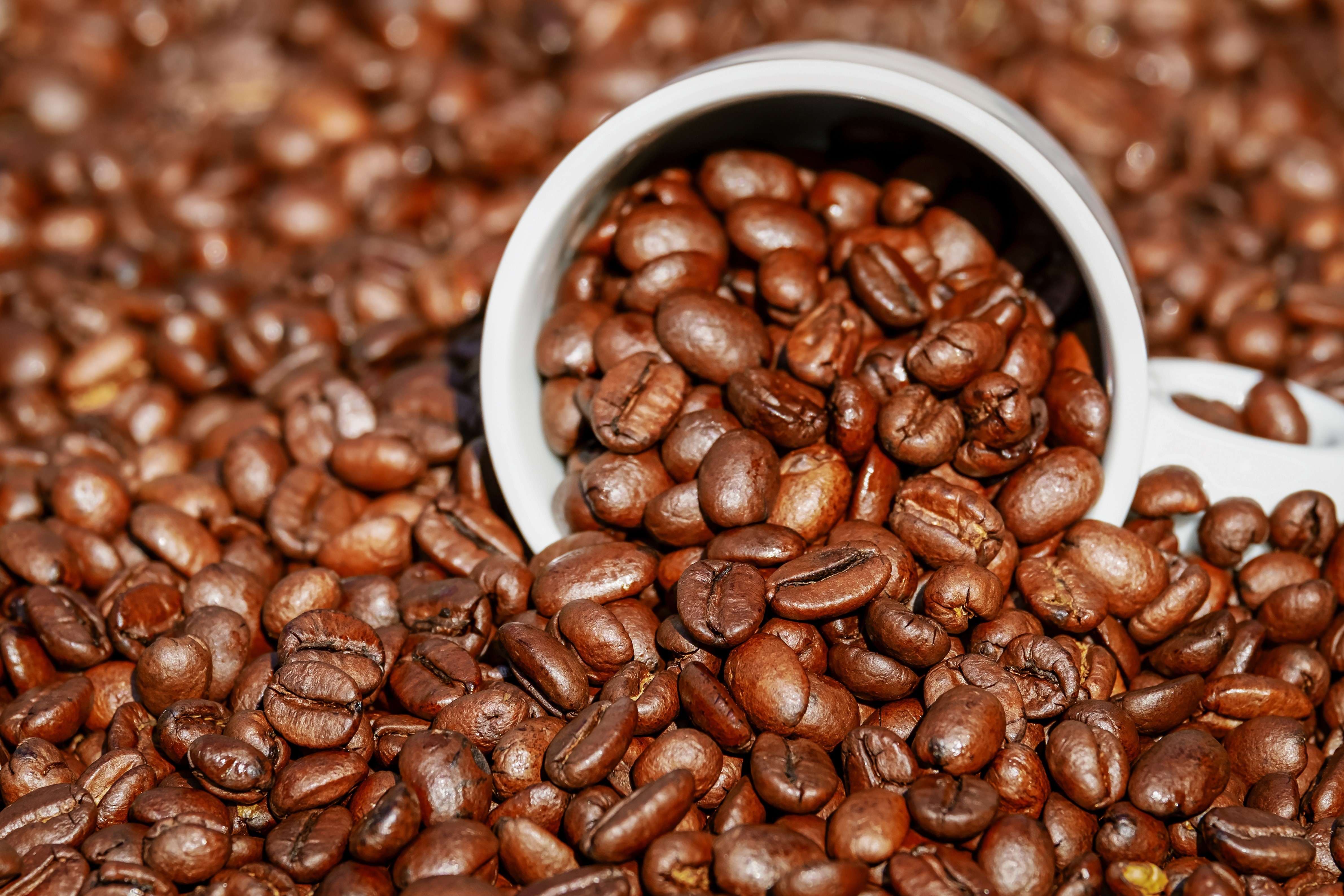 Coffee beans spilling from a cup HD Wallpaper