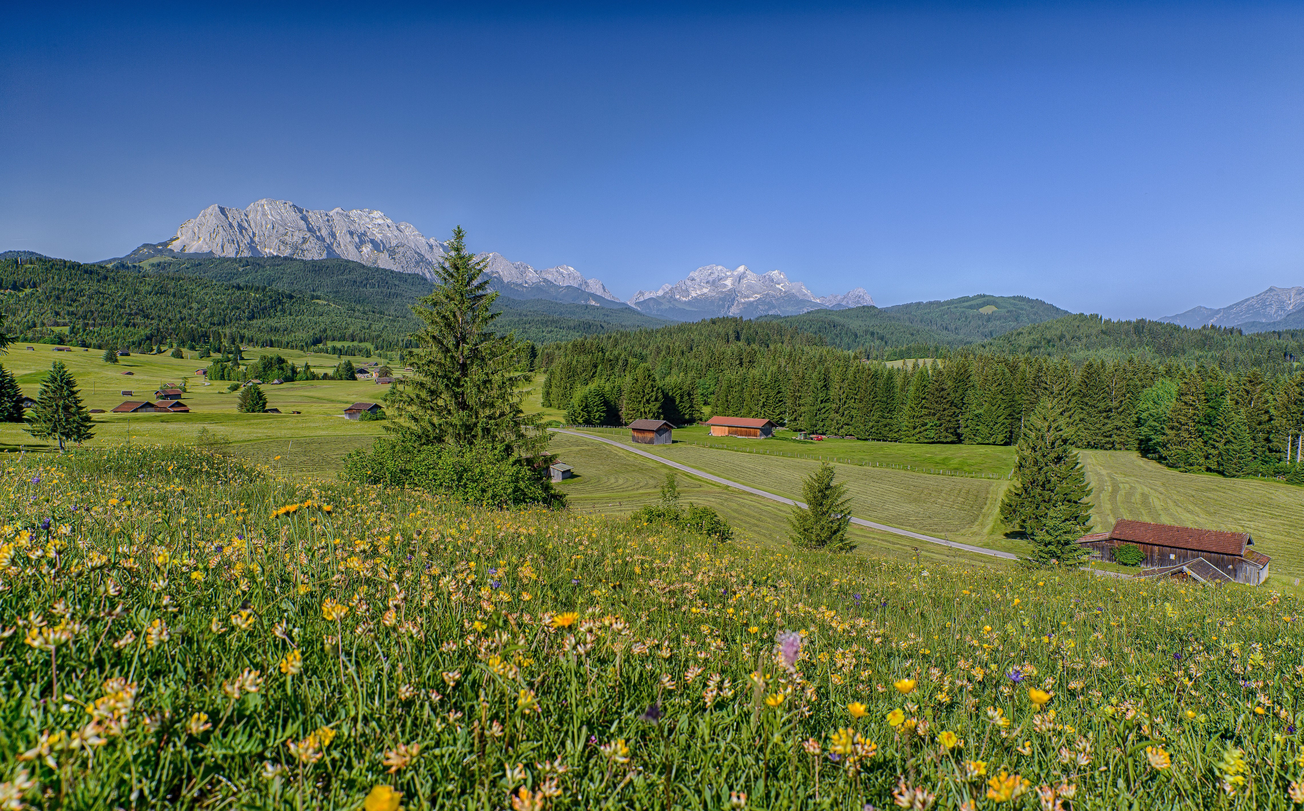 Summer in the Bavarian Alps, Germany HD Wallpaper