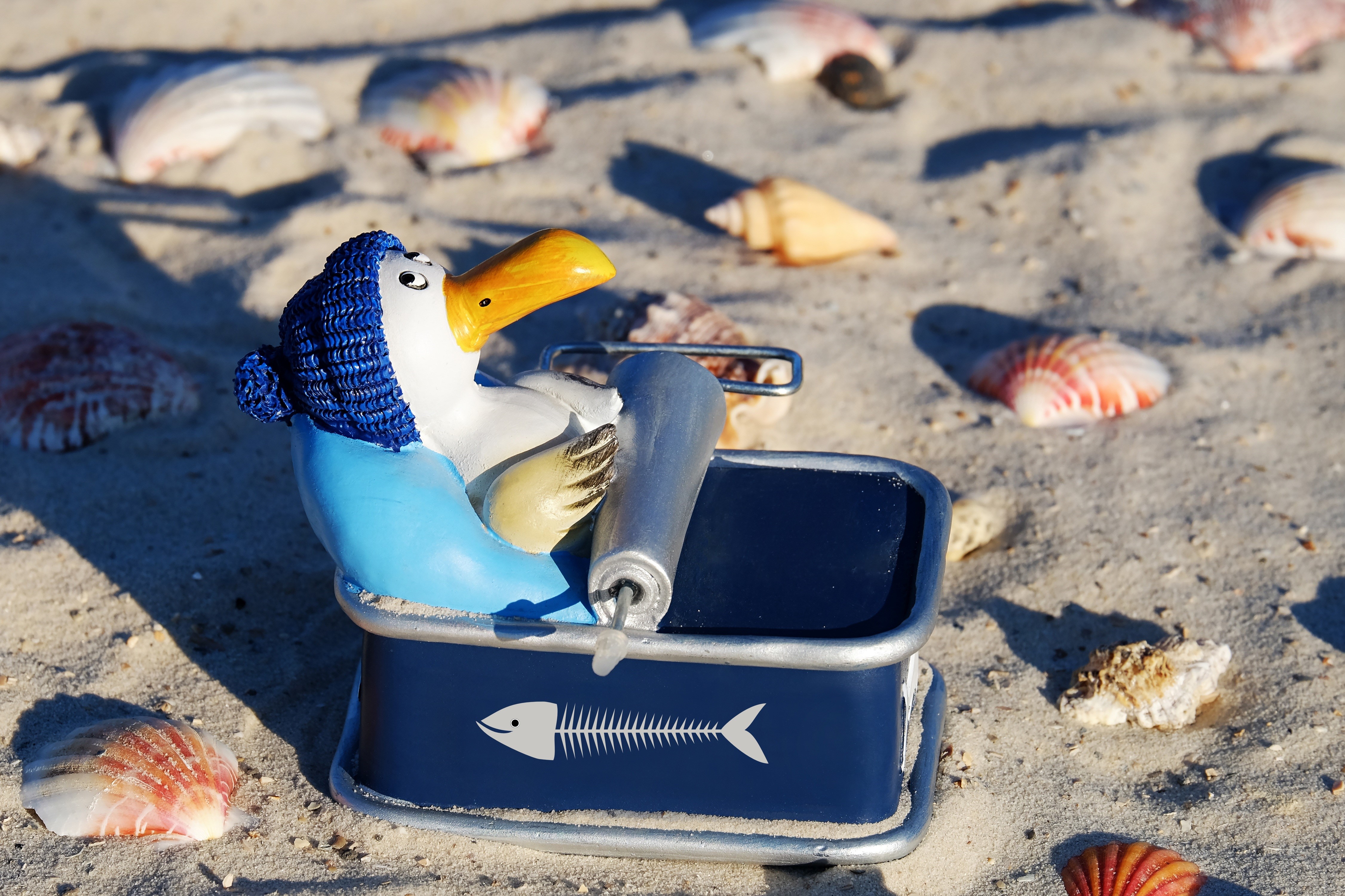 Toy penguin with a can of fish on a beach HD Wallpaper