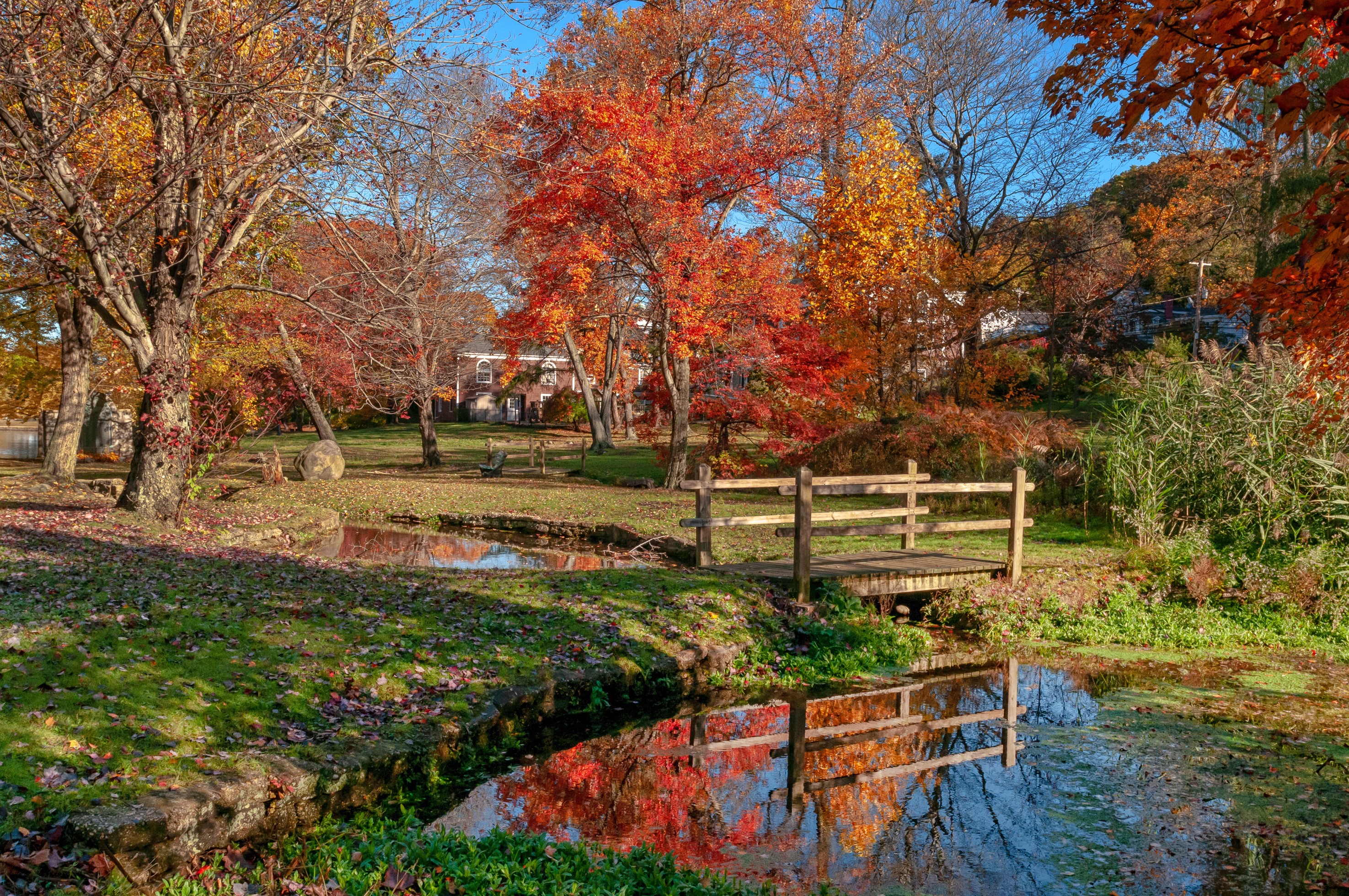 Autumn scene in Gerry Park, Roslyn, New York with a pond and bridge HD Wallpaper