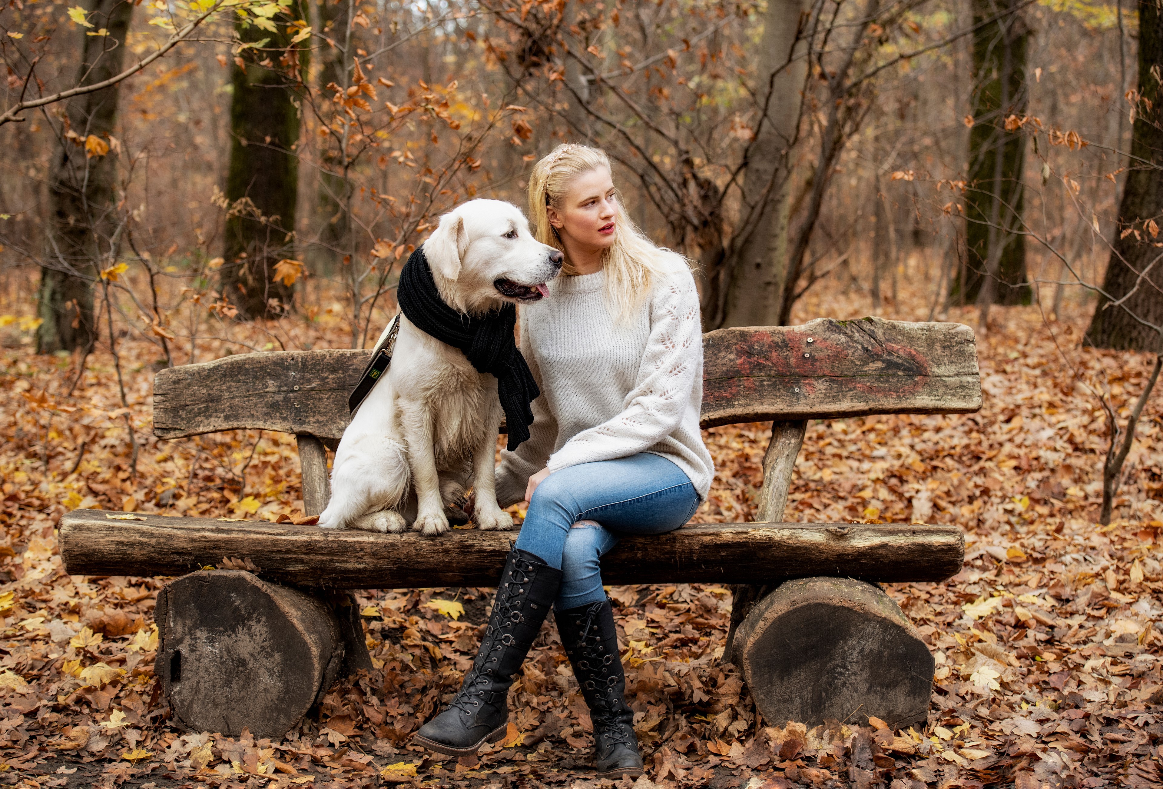 Laura and Dog on a Bench in Autumn HD Wallpaper