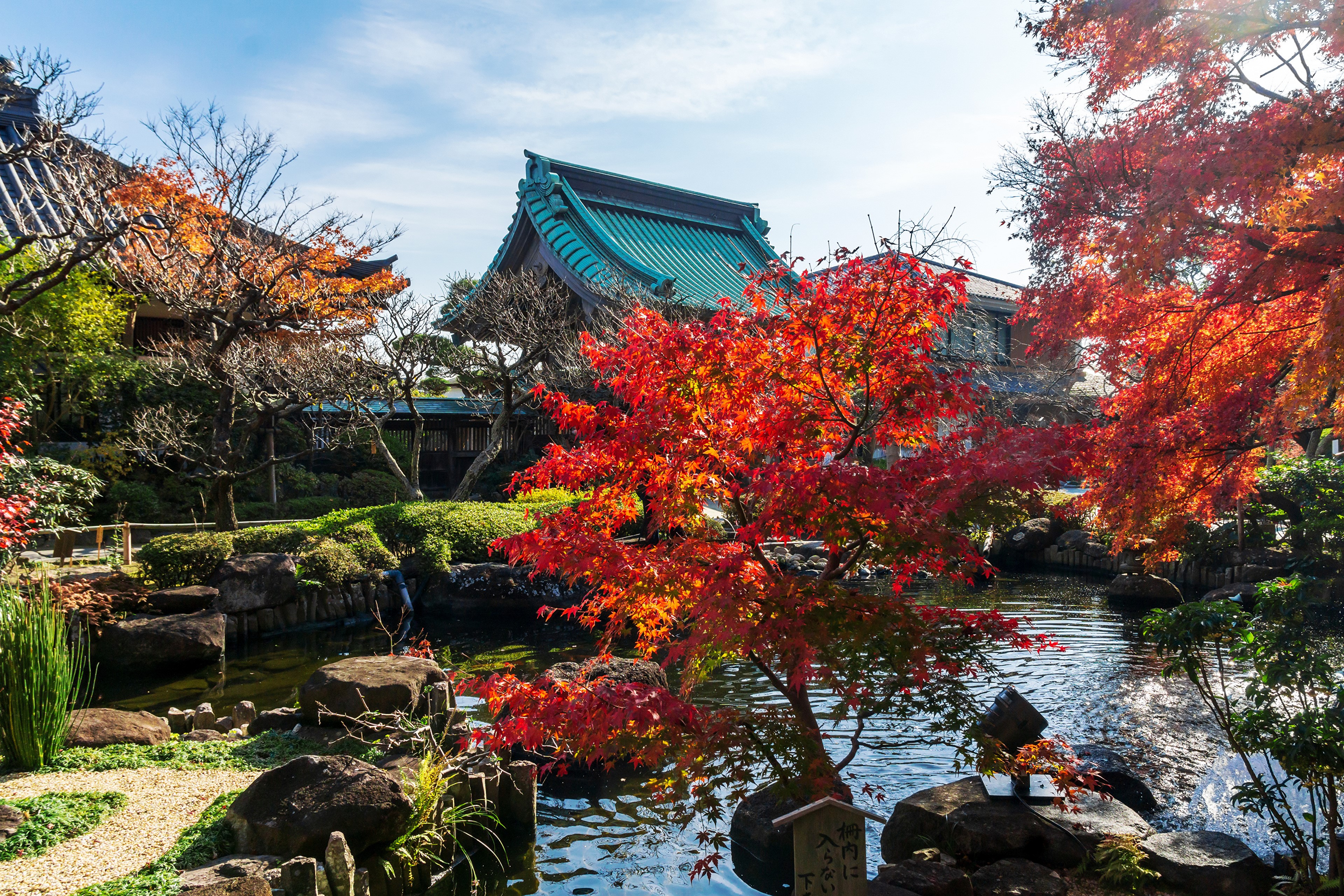 Autumn at a Japanese Temple with a Pond HD Wallpaper