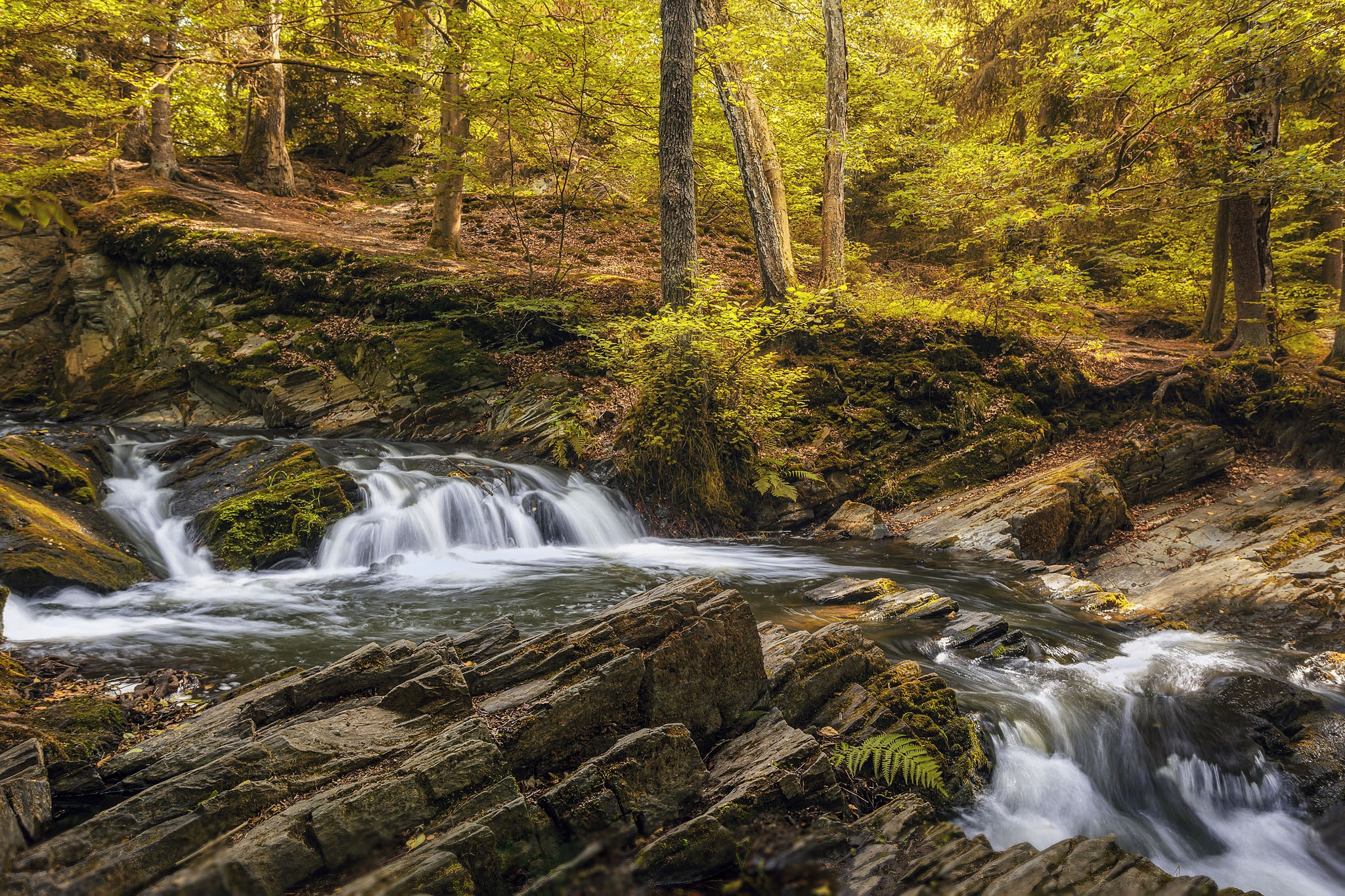 Waterfall in a forest in Alexisbad, Germany HD Wallpaper