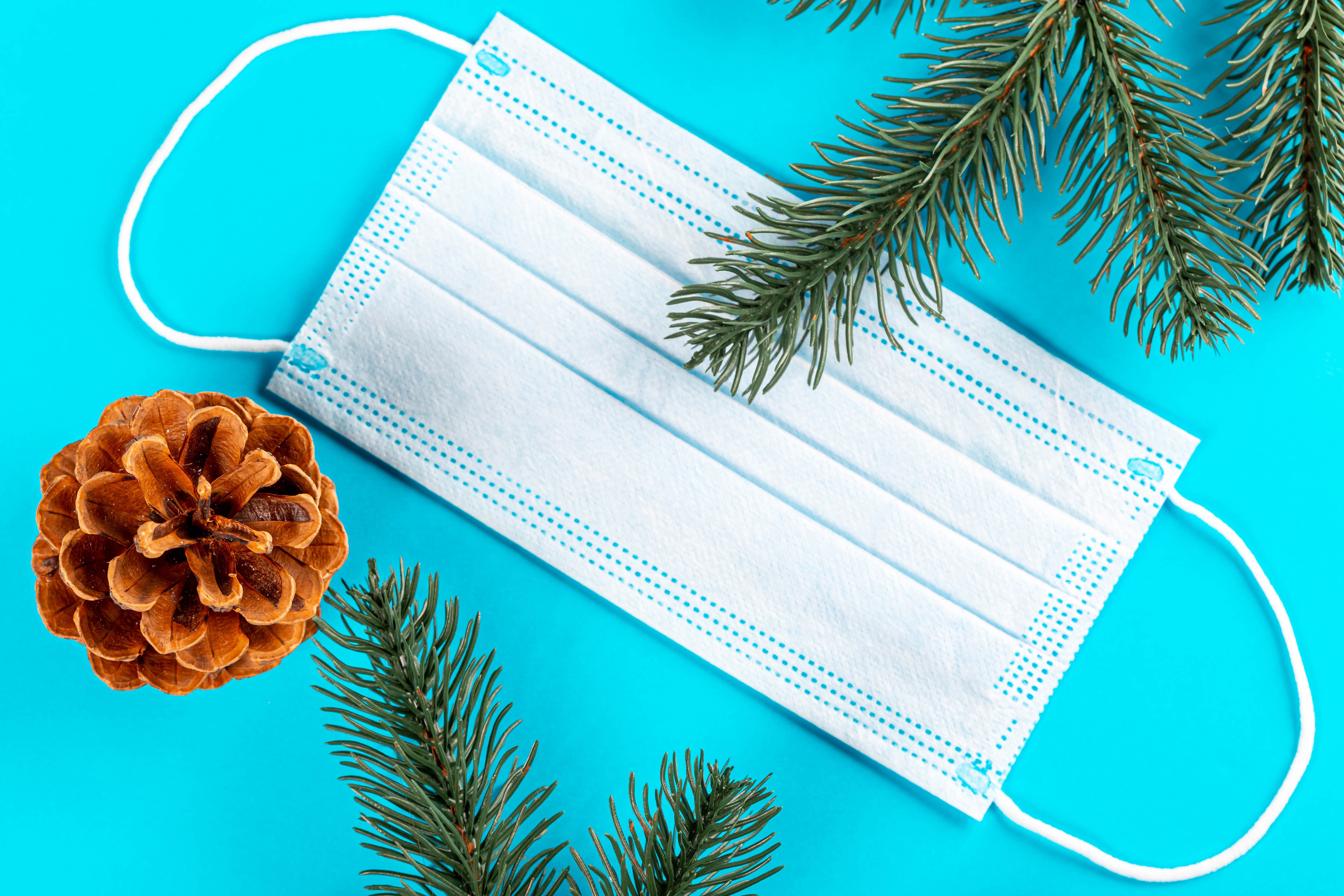 Christmas mask with pine cone and fir branches HD Wallpaper