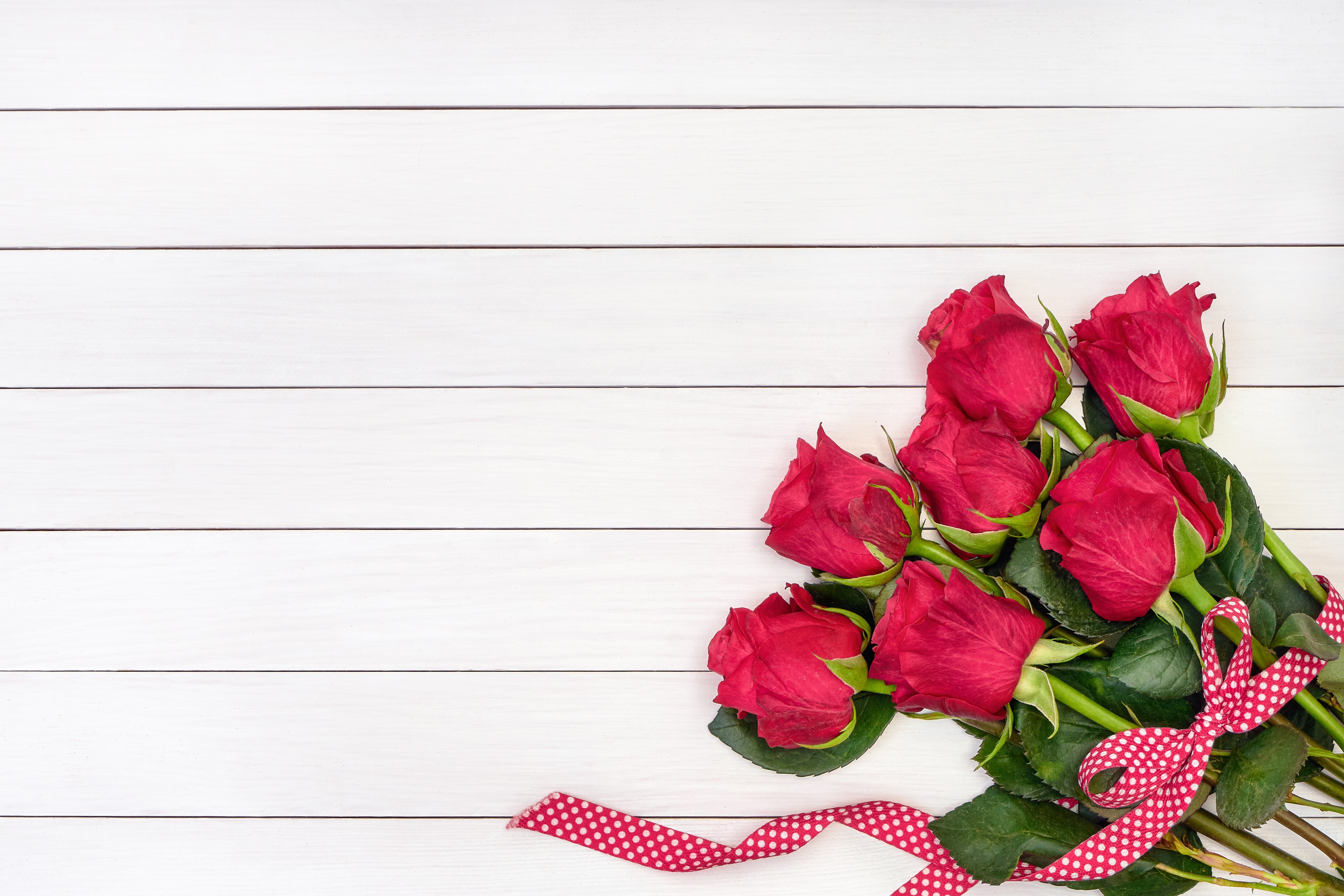 Red Roses with Polka Dot Ribbon on White Wood Planks HD Wallpaper