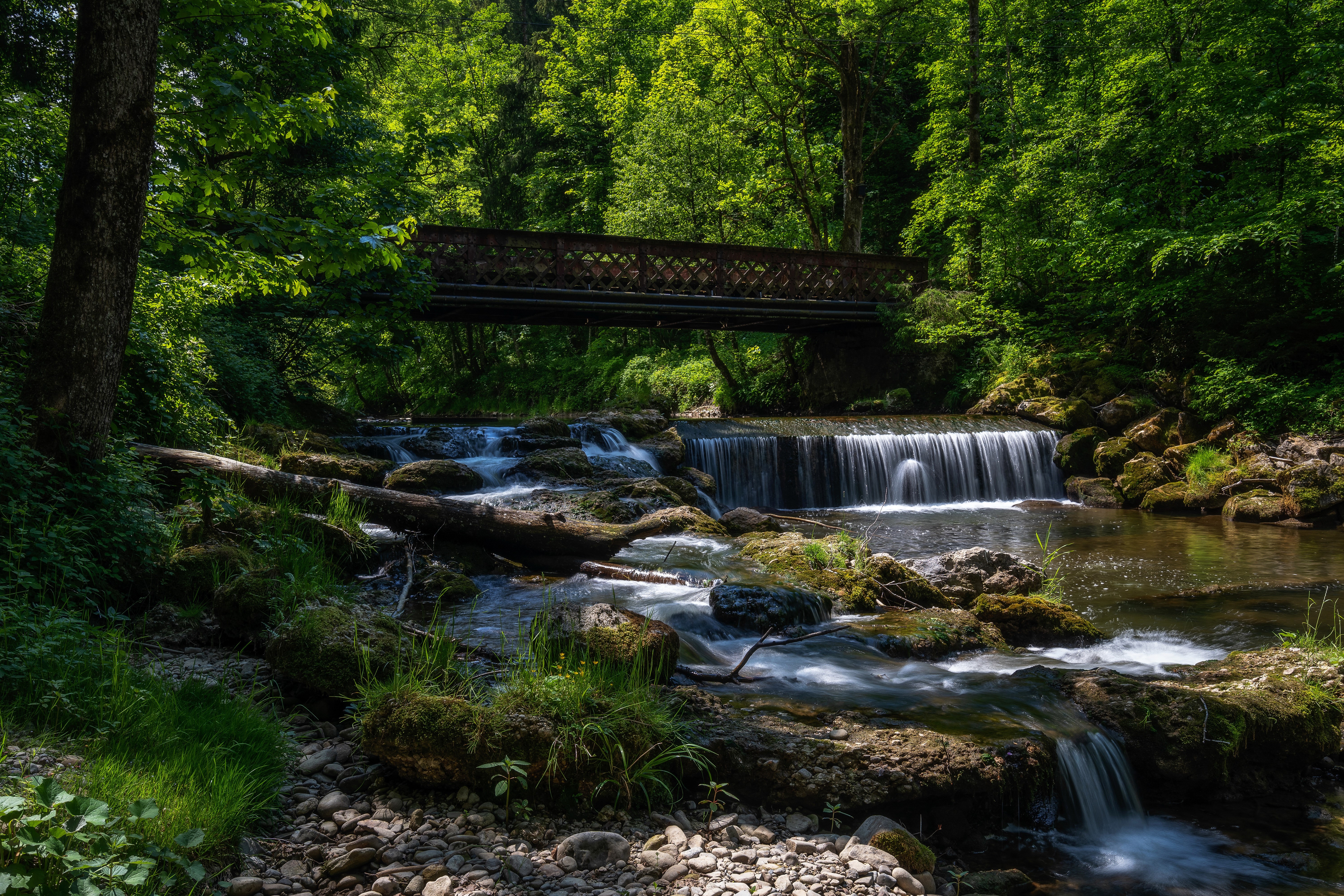 Serene Forest River and Bridge in Bavaria 4K HD Wallpaper