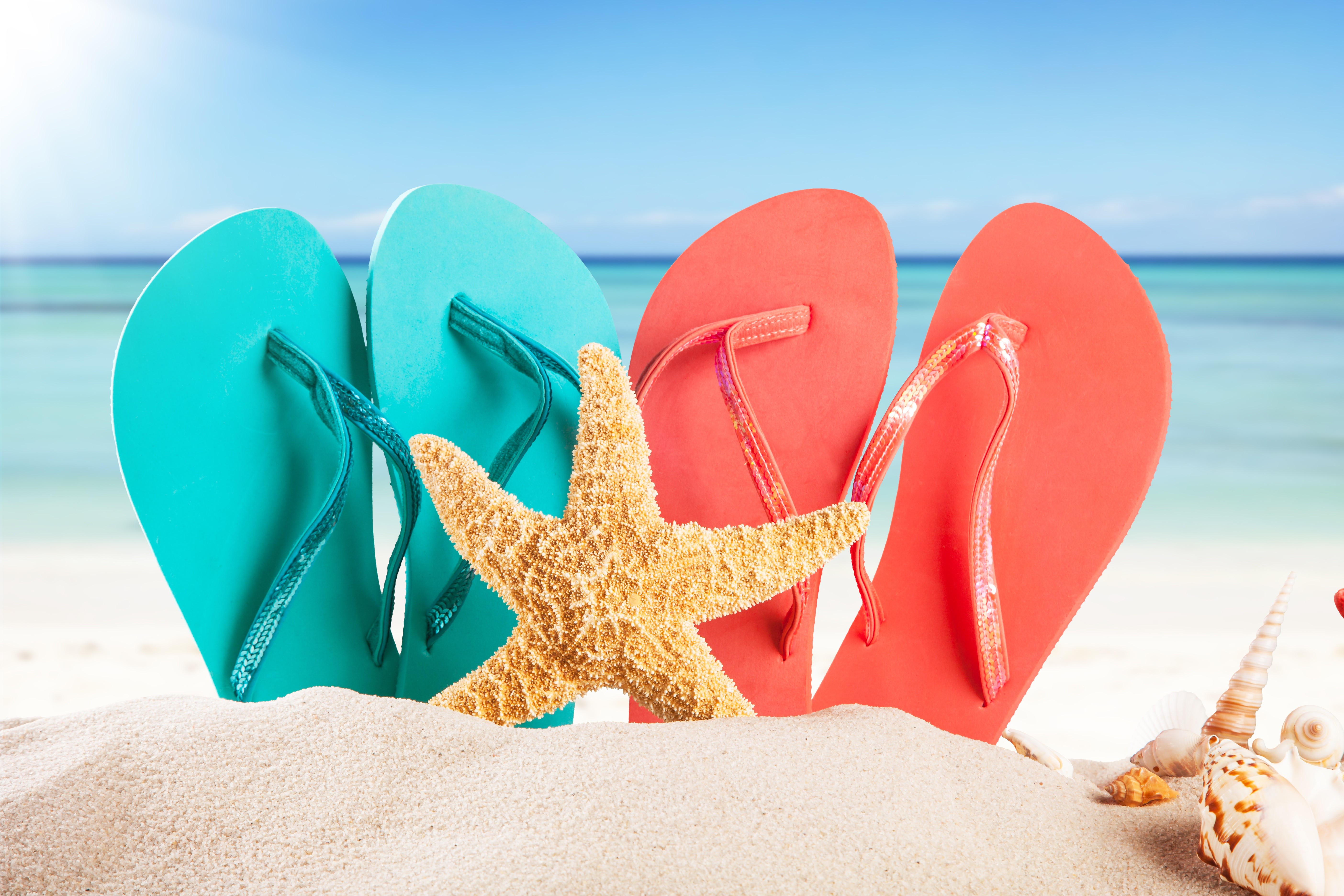 Starfish and Flip-flops on a Sandy Beach HD Wallpaper
