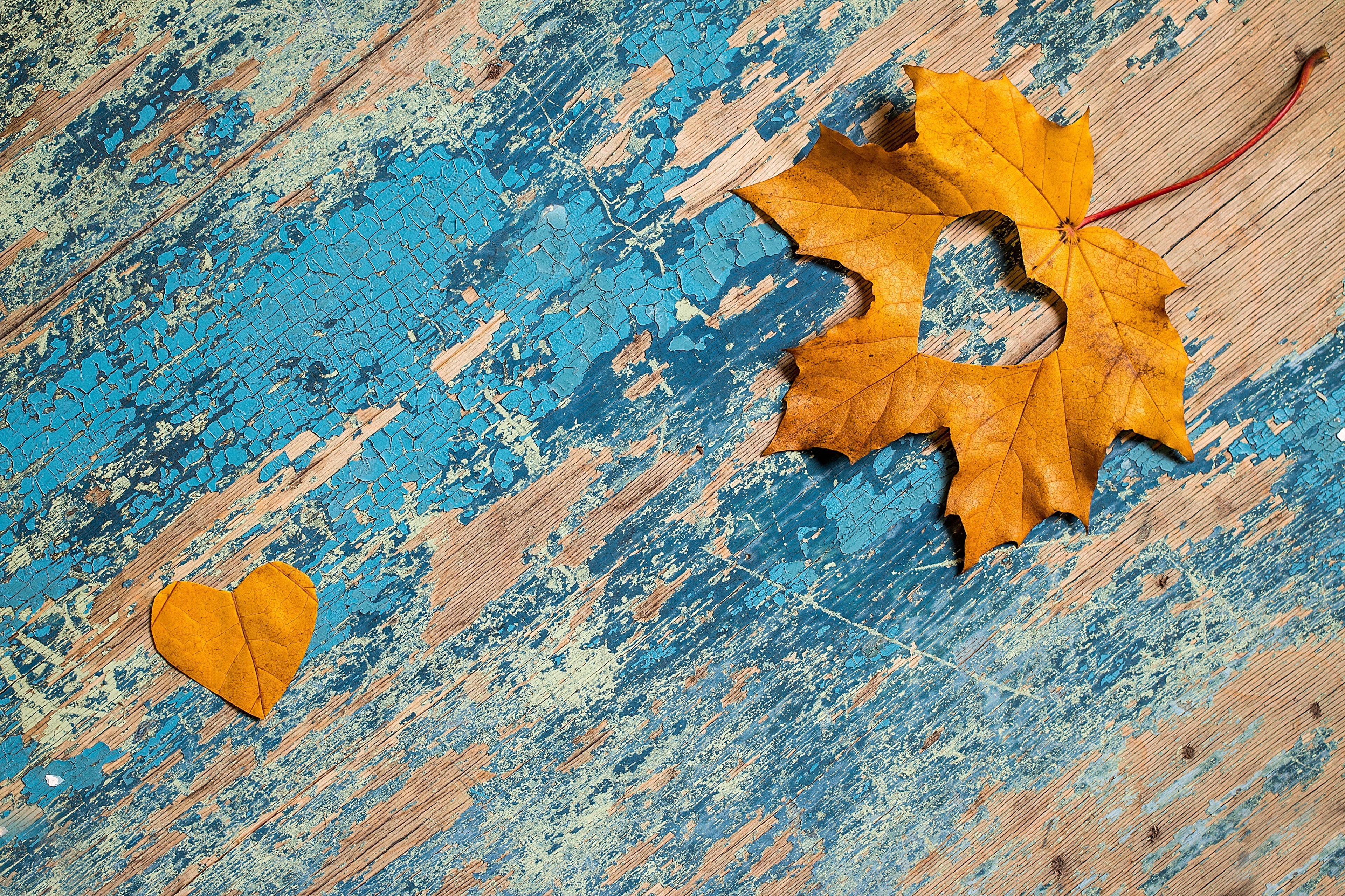 Autumn leaves with heart shapes on distressed wood HD Wallpaper