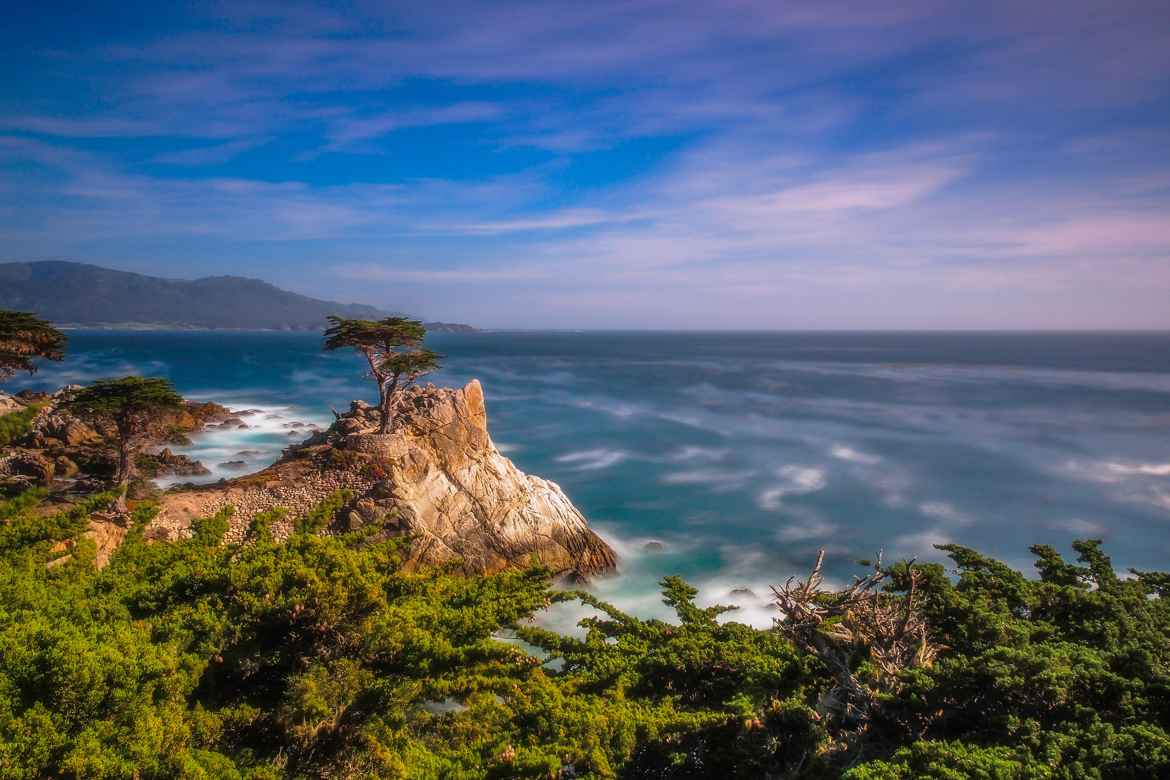 4K Cypress Tree on Rocky Coastline in Pebble Beach, California HD Wallpaper