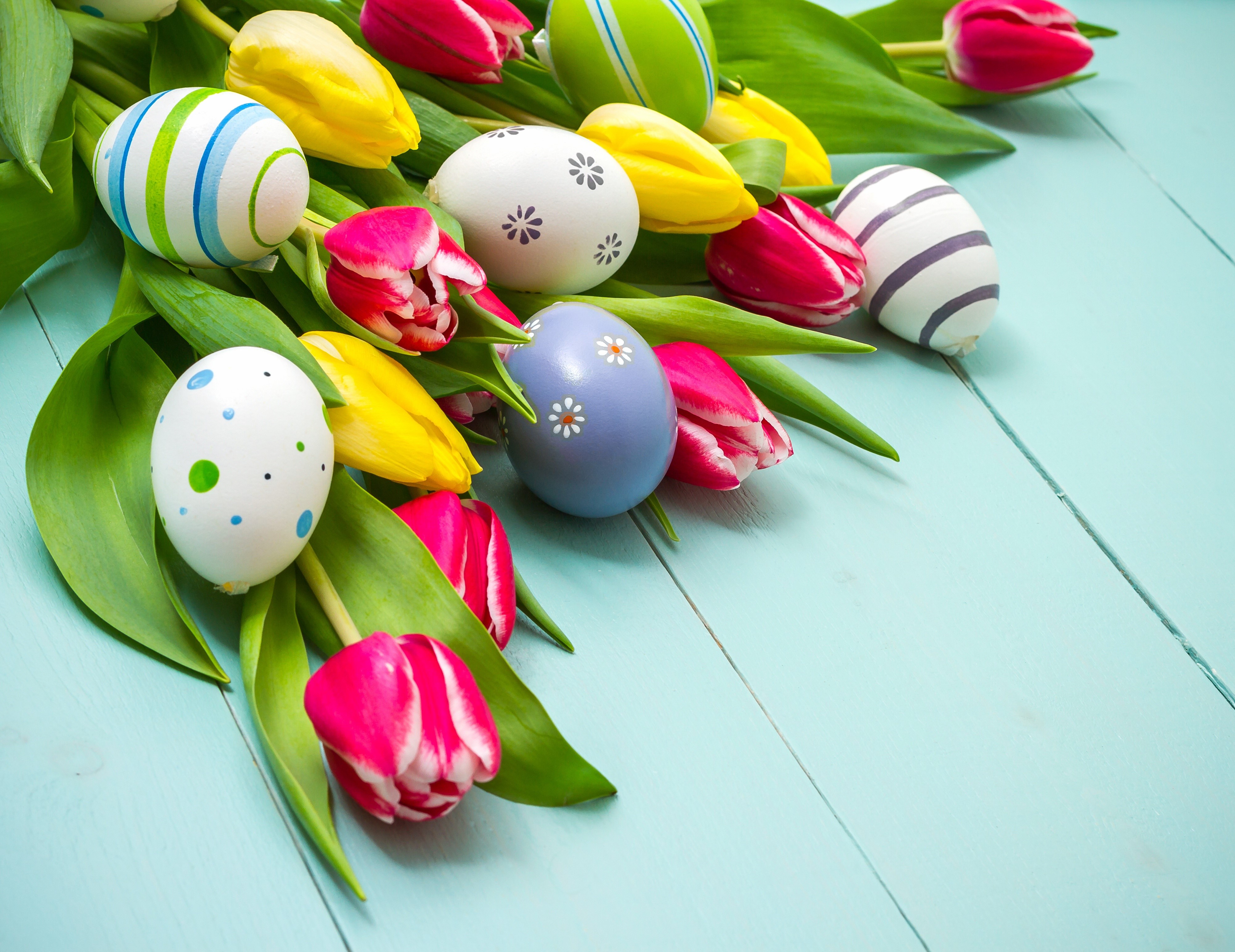 4K Easter Tulips and Decorated Eggs HD Wallpaper