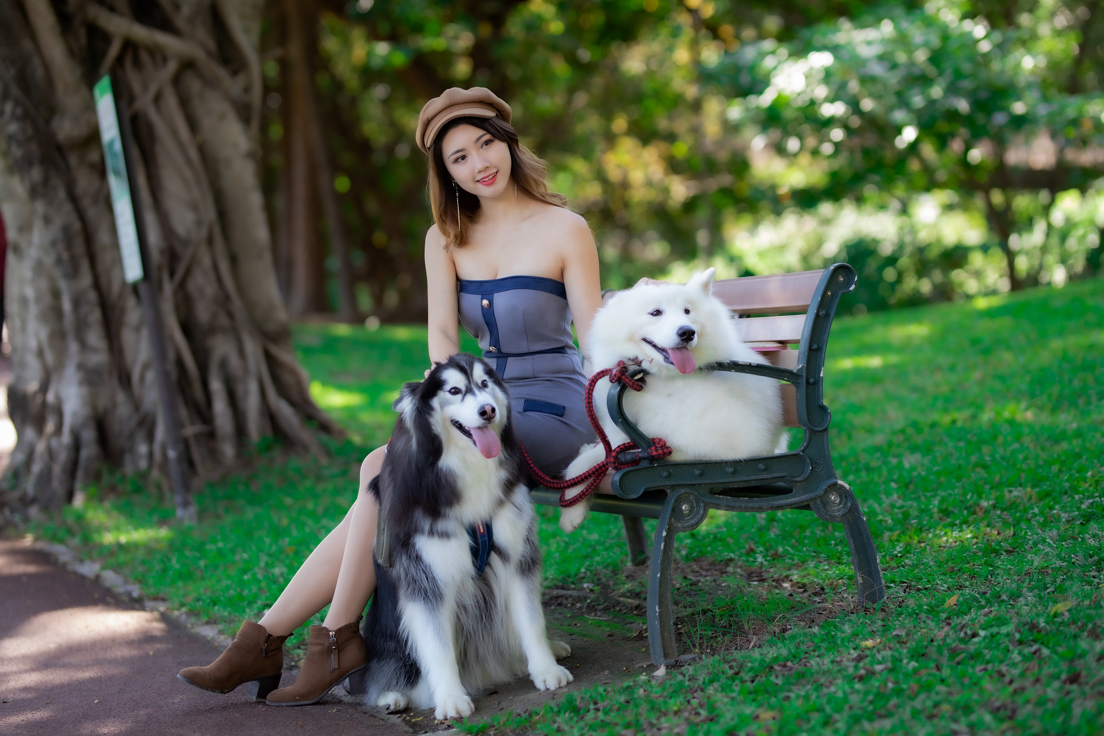 Woman with two dogs on a park bench HD Wallpaper