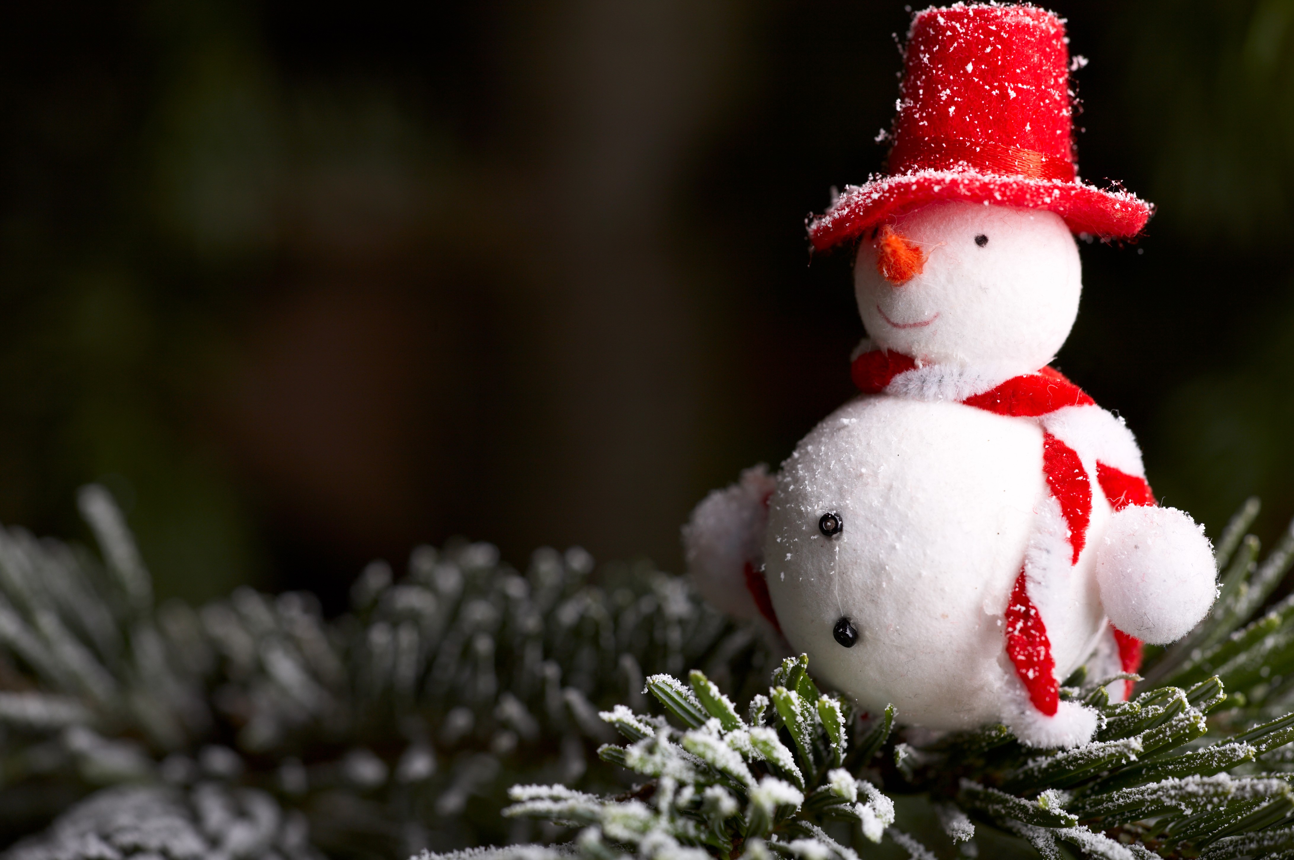 Christmas snowman ornament on a frosted branch HD Wallpaper