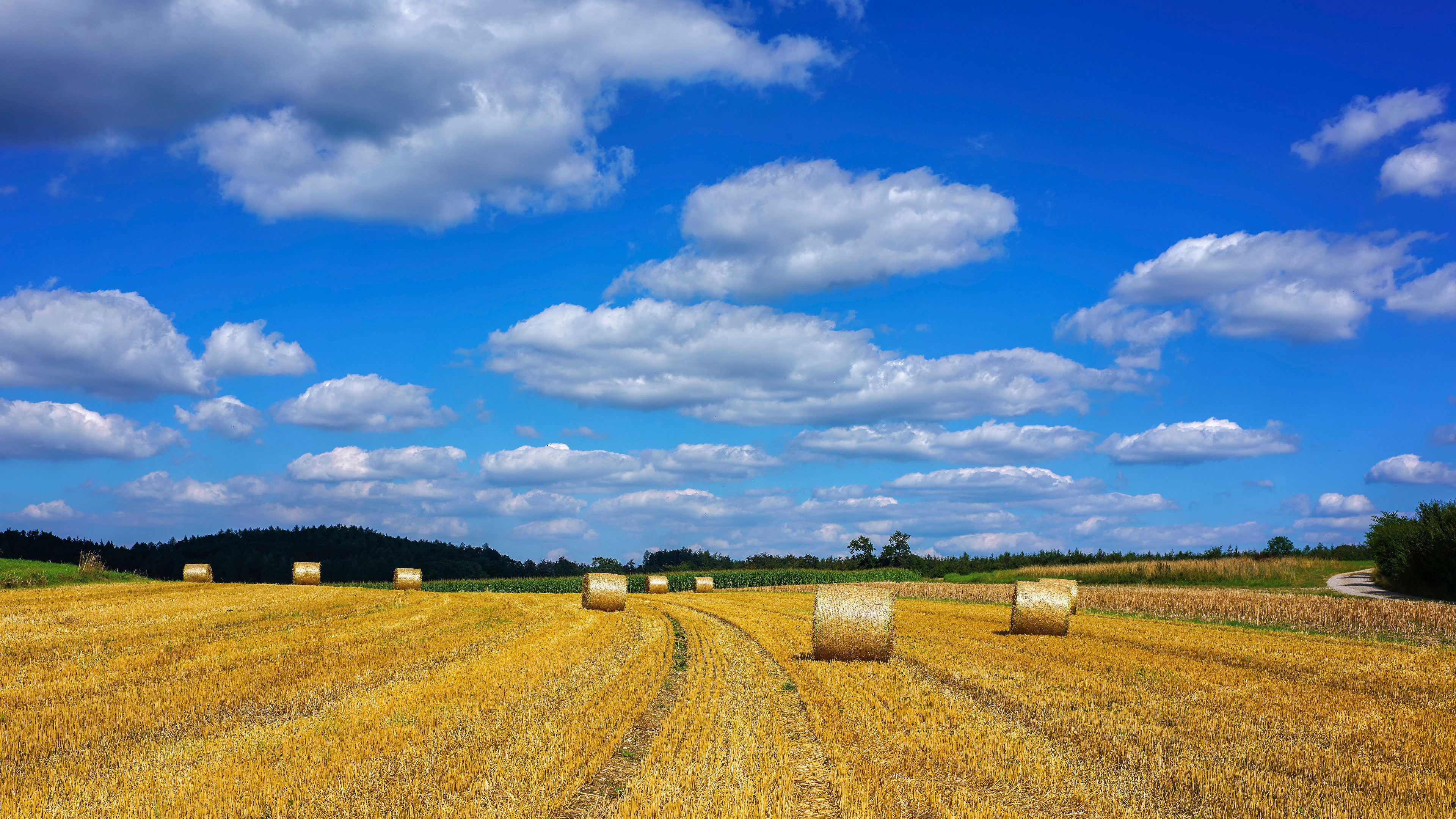 Hay bales in a field under a cloudy sky in Bavaria HD Wallpaper
