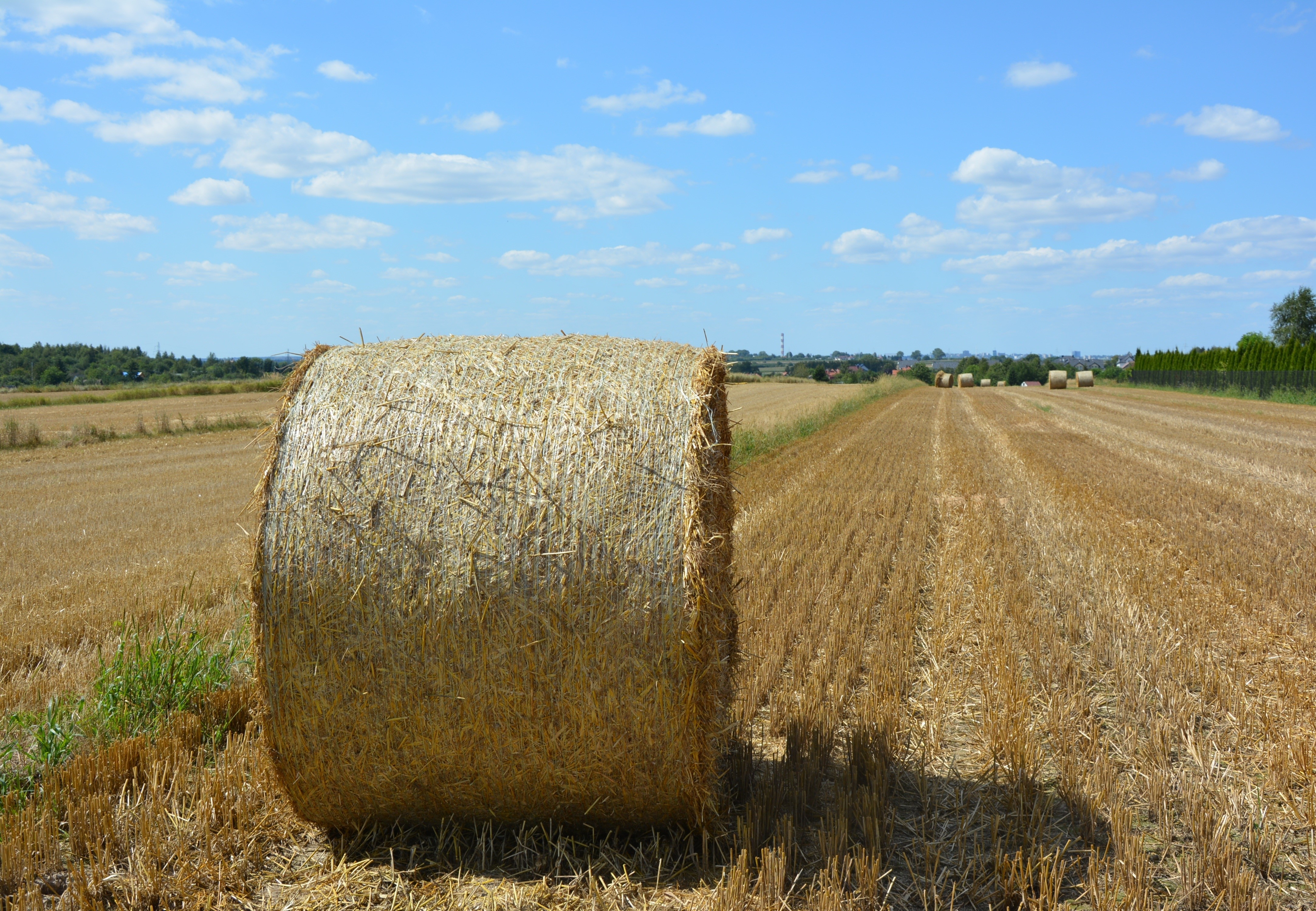 Hay bales in a field during summer HD Wallpaper