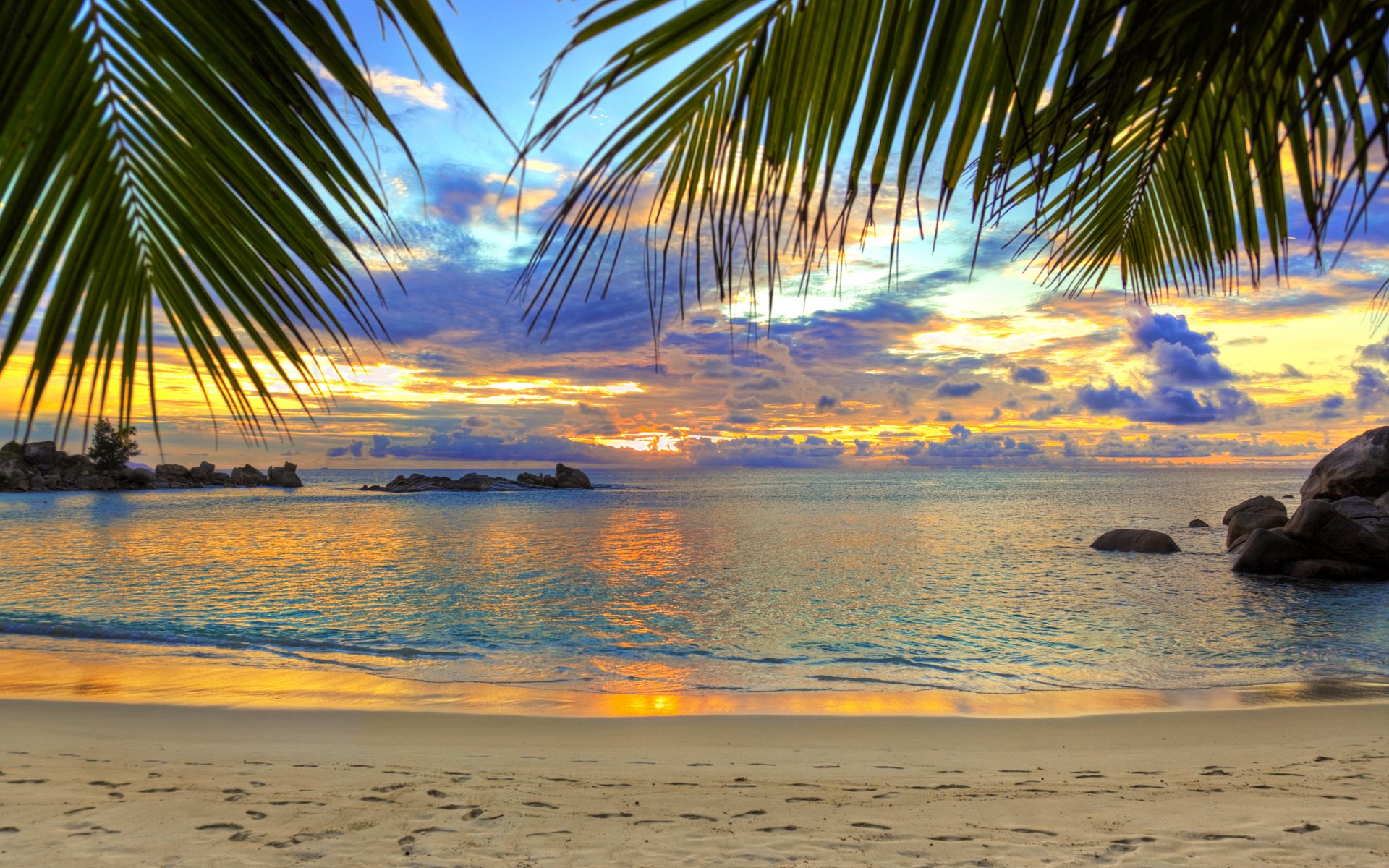 Tropical beach sunset with palm fronds HD Wallpaper