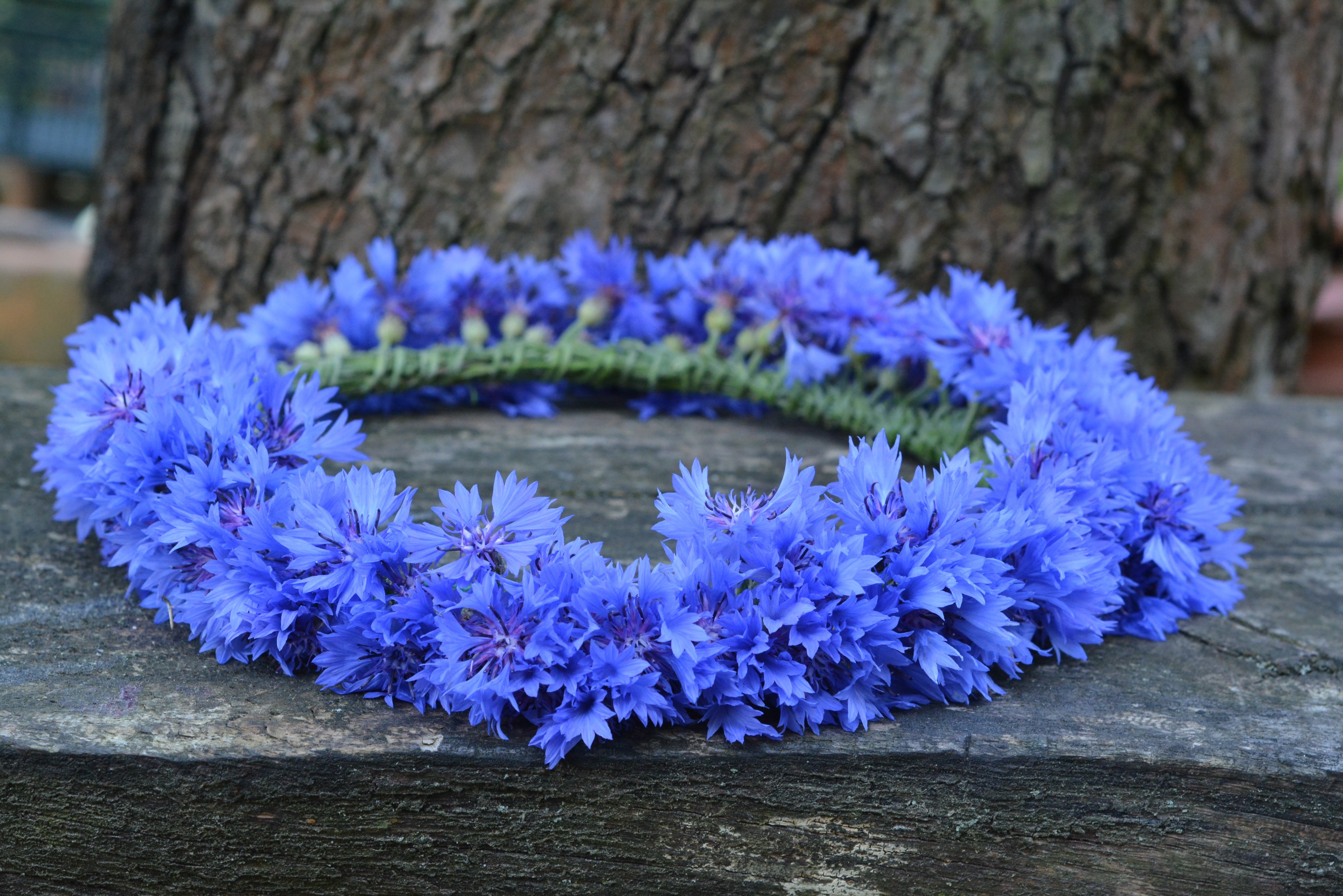 Cornflower Wreath on Wooden Surface HD Wallpaper