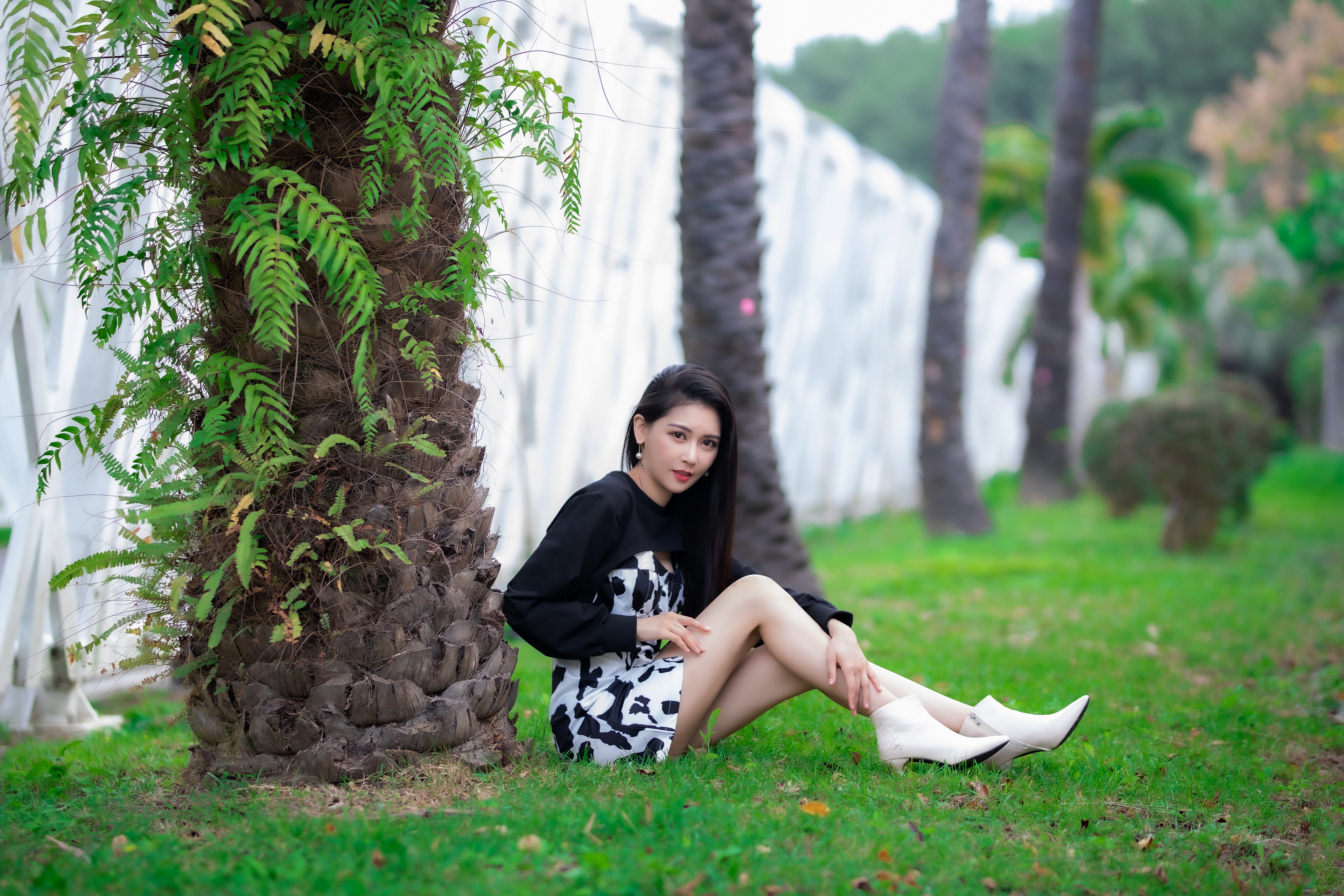 Brunette girl sitting by a palm tree HD Wallpaper