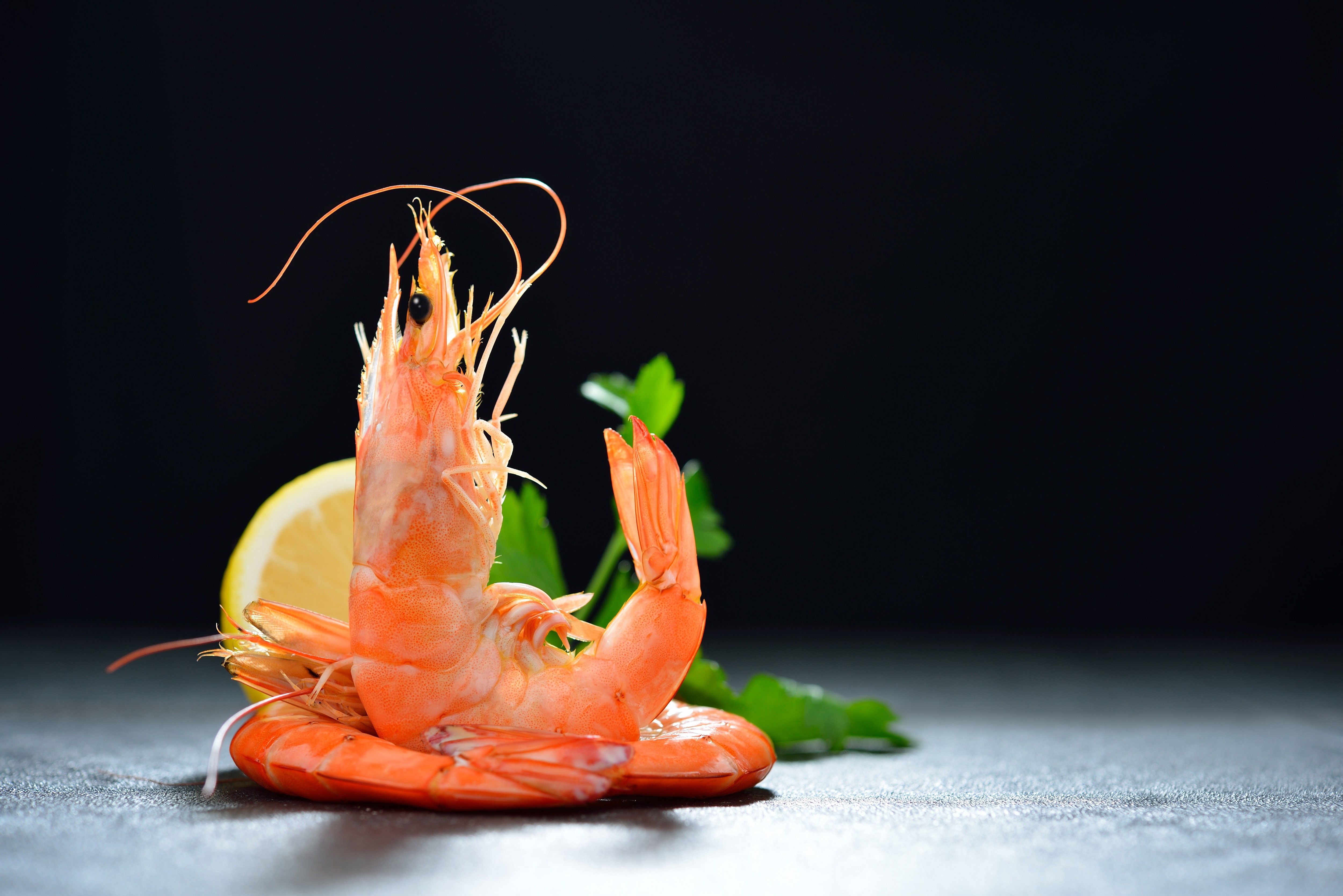 Shrimp with Lemon and Parsley HD Wallpaper