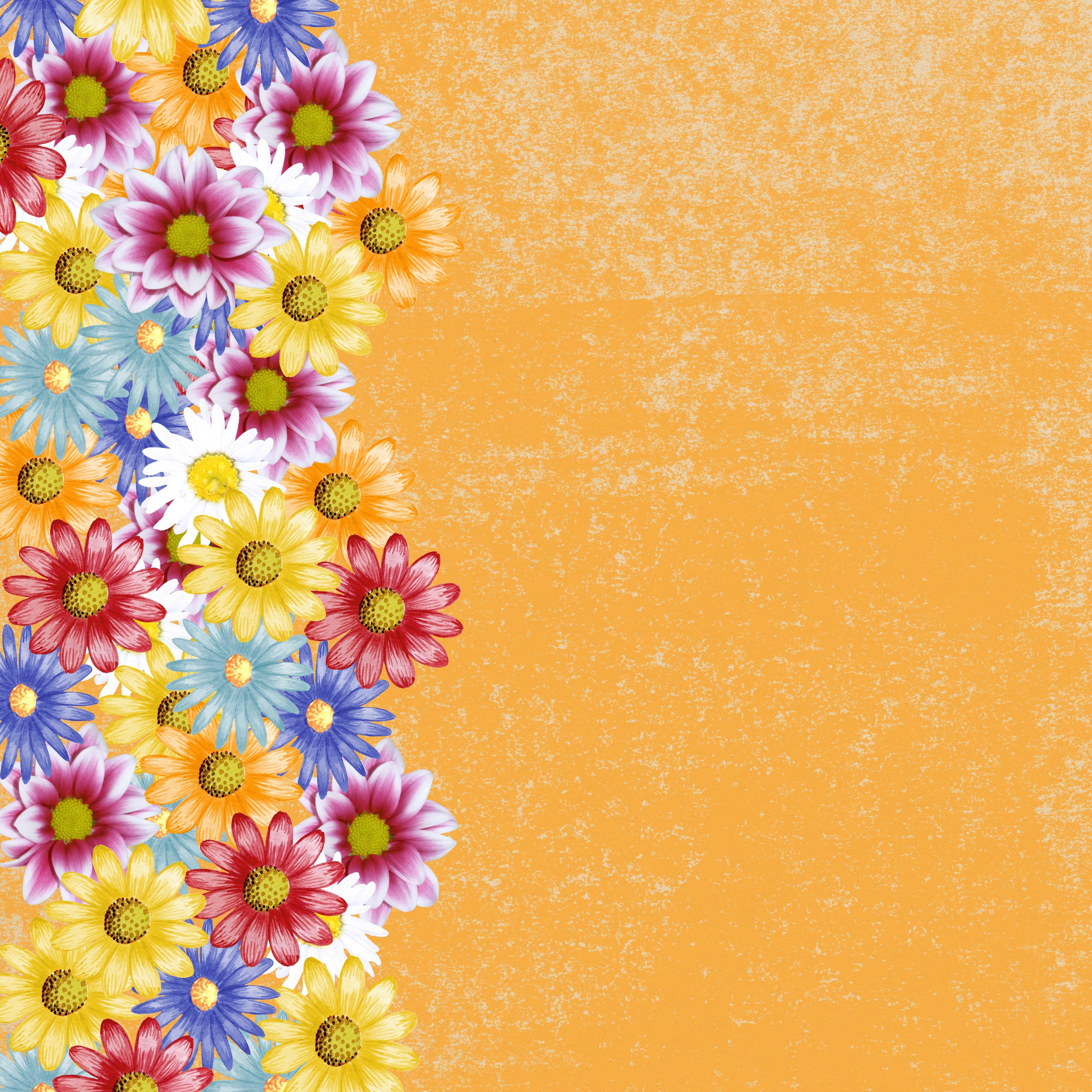 Multicolor flowers on an orange textured background HD Wallpaper