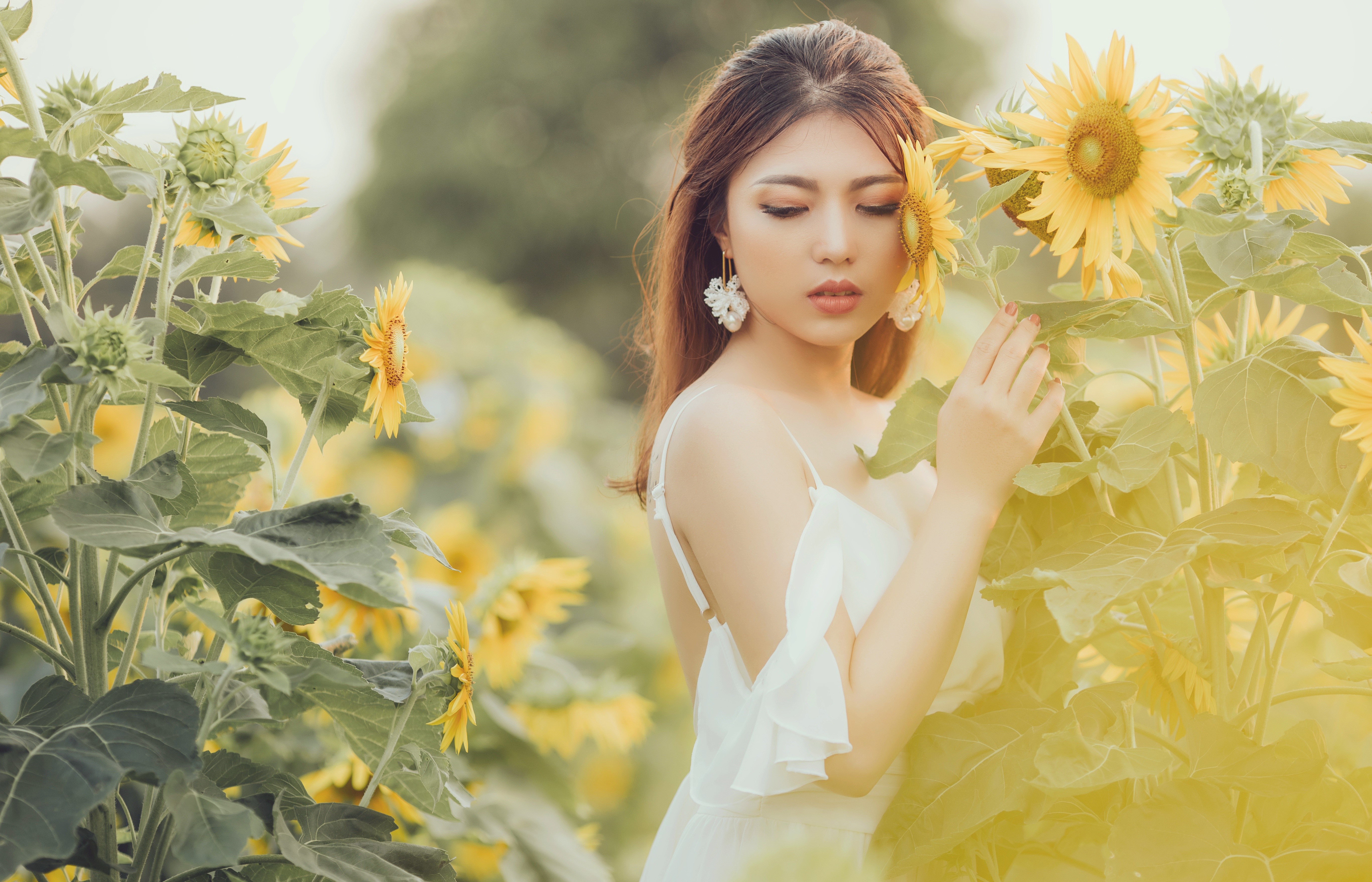 4K Portrait of Asian Woman with Sunflowers HD Wallpaper