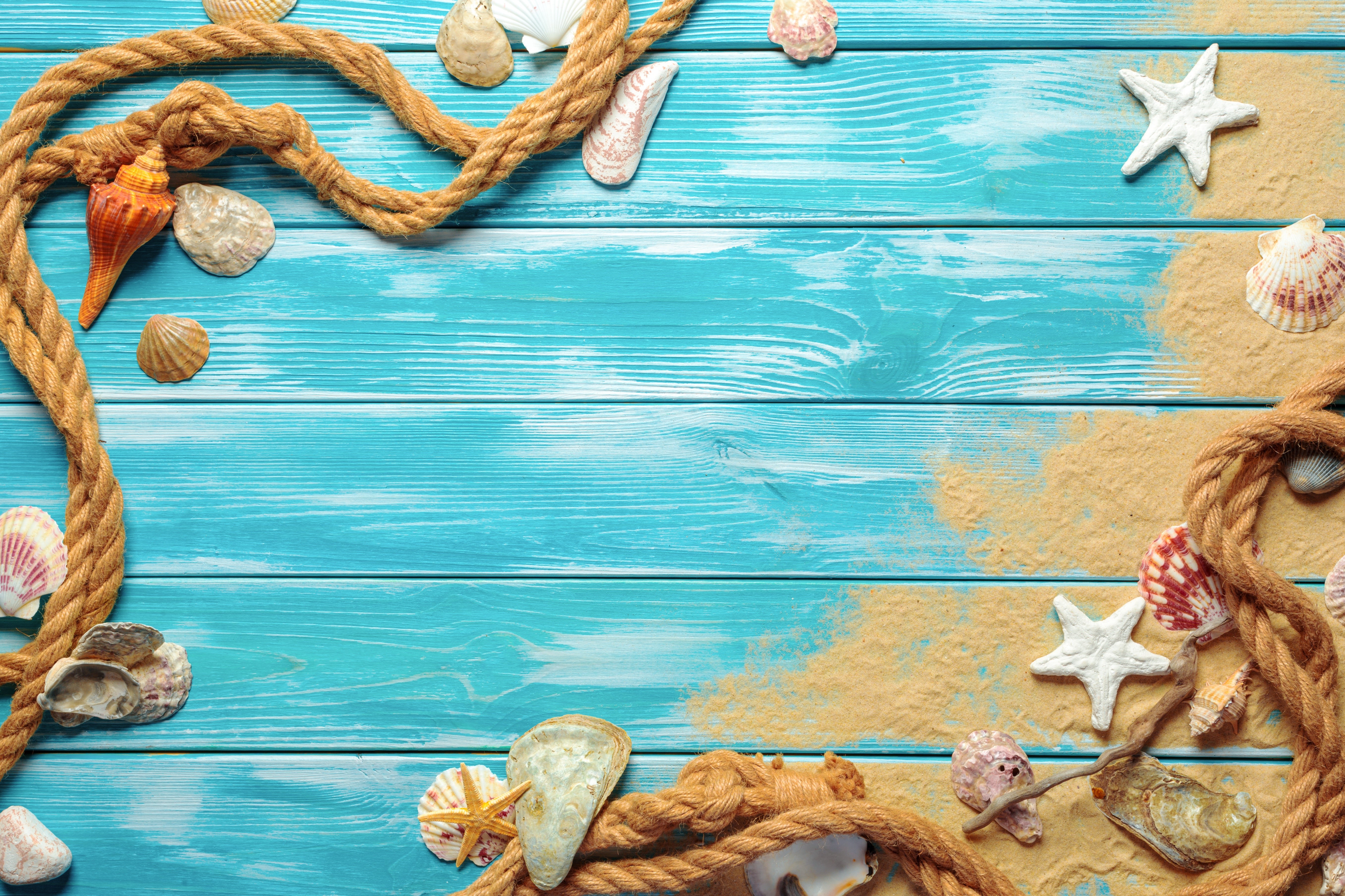 Starfish, Shells, Rope, and Sand on Blue Wood Planks HD Wallpaper