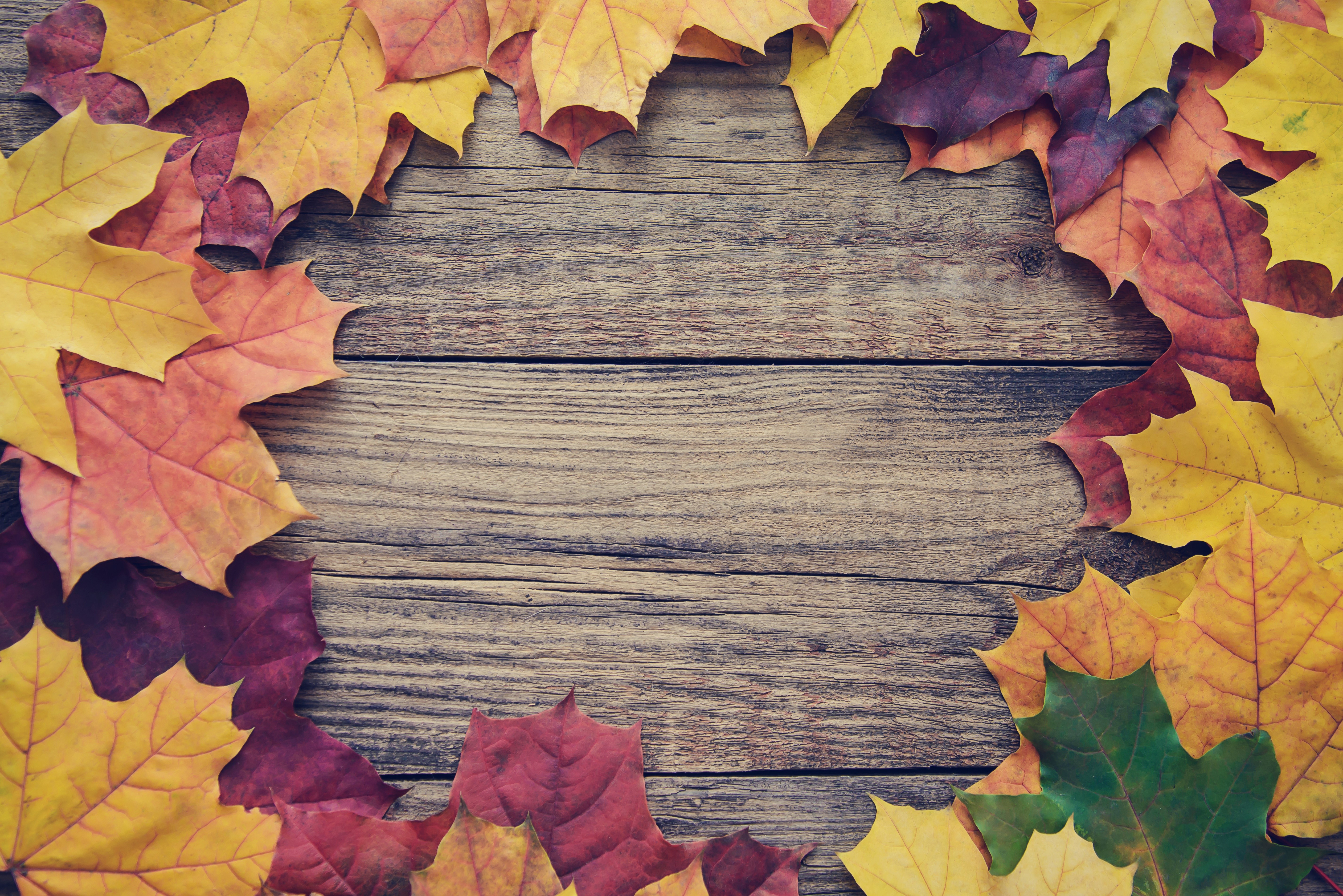 Autumn Maple Leaves on Wood Planks HD Wallpaper