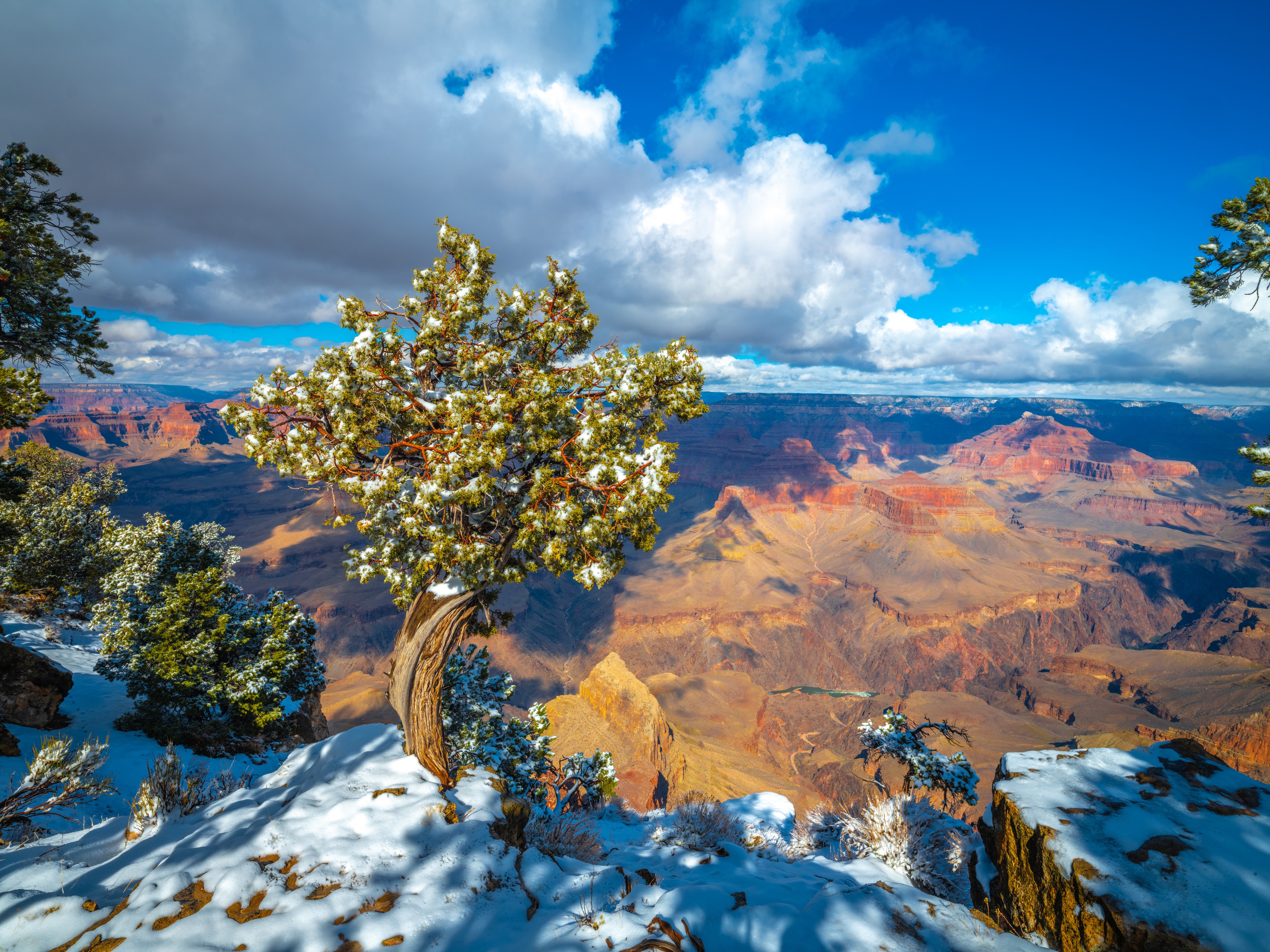 Grand Canyon National Park in Arizona with Snow HD Wallpaper