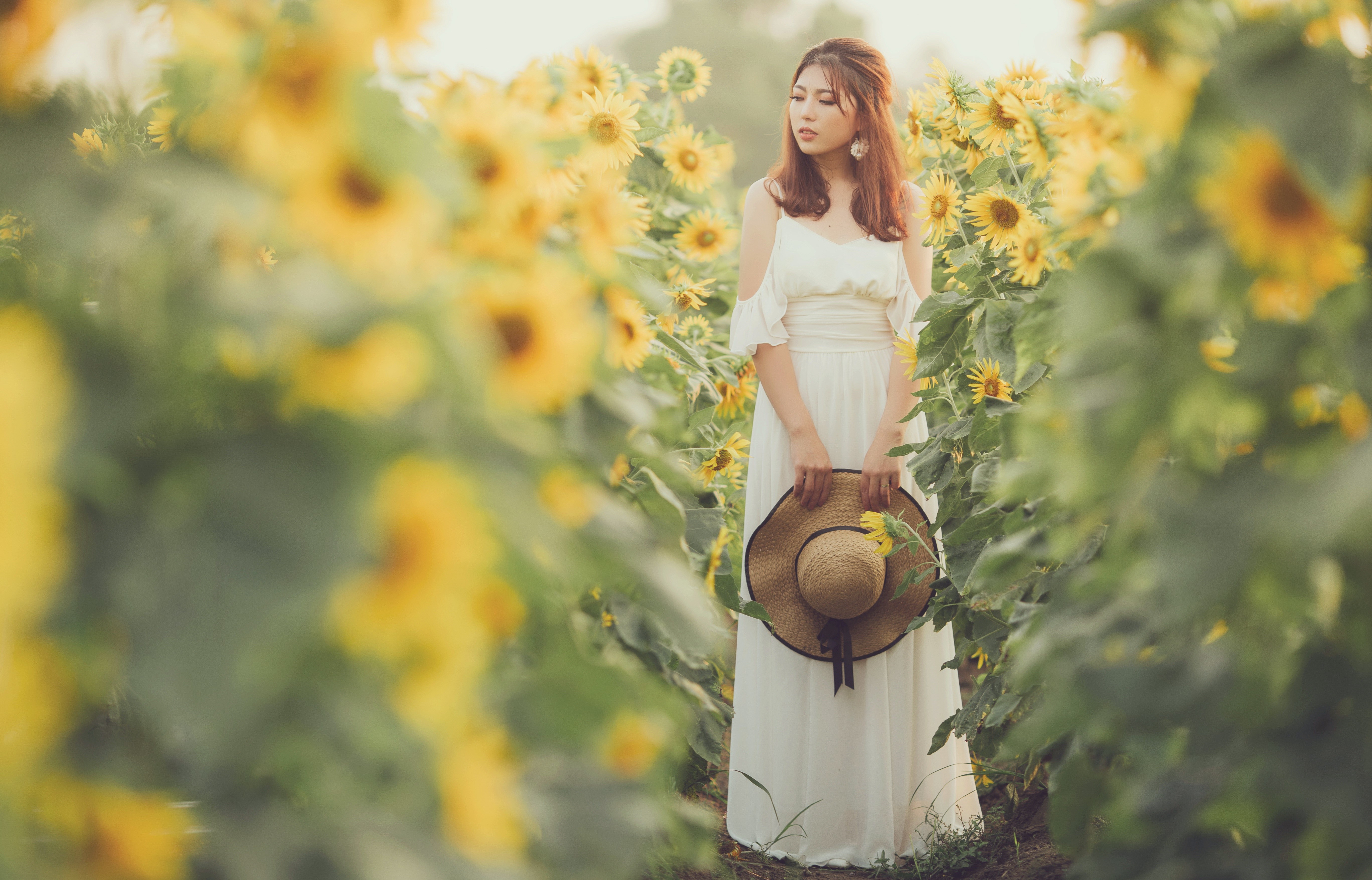 Asian woman in white dress holding hat in sunflower field HD Wallpaper