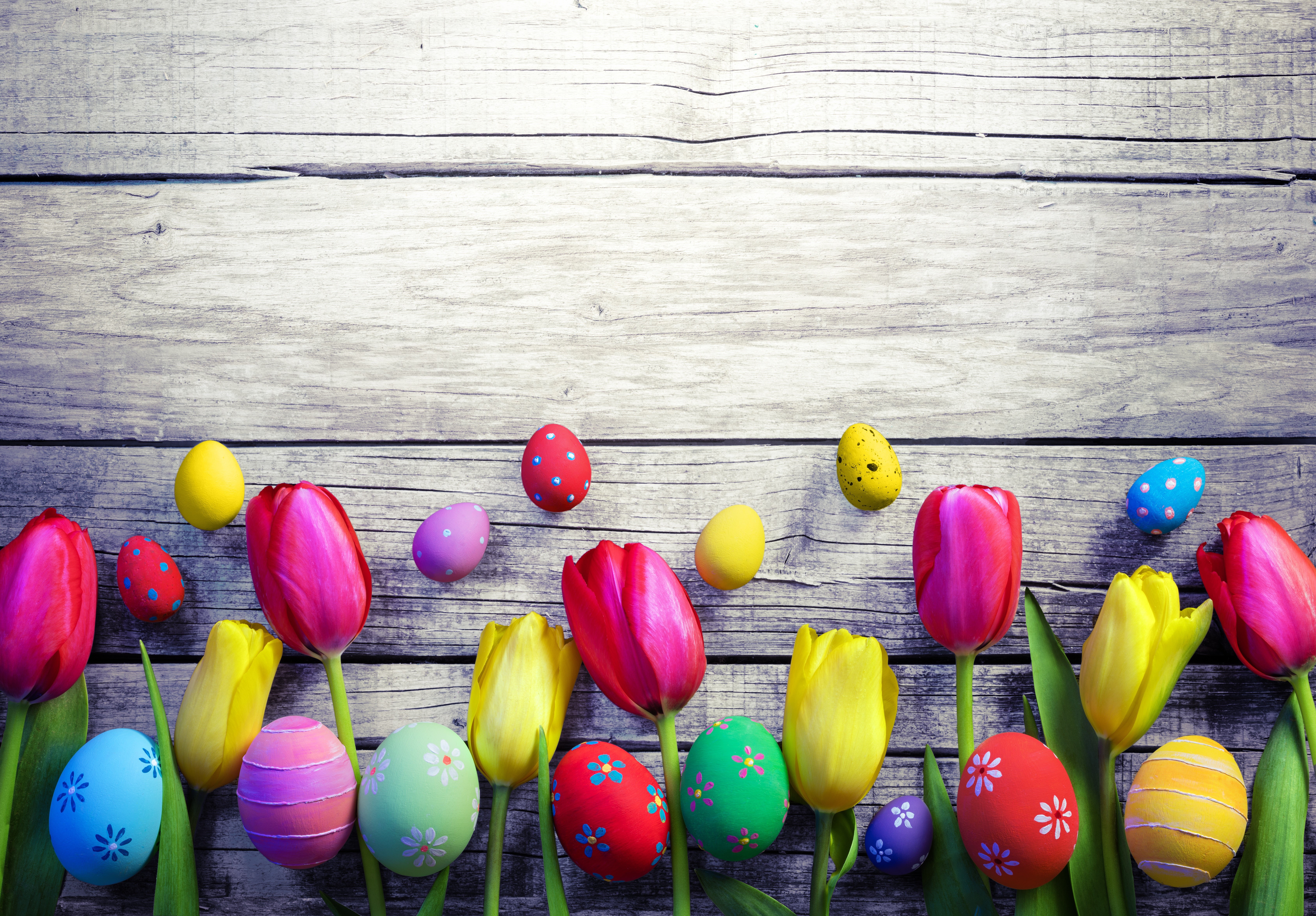 Easter Tulips and Eggs on Wood Planks HD Wallpaper