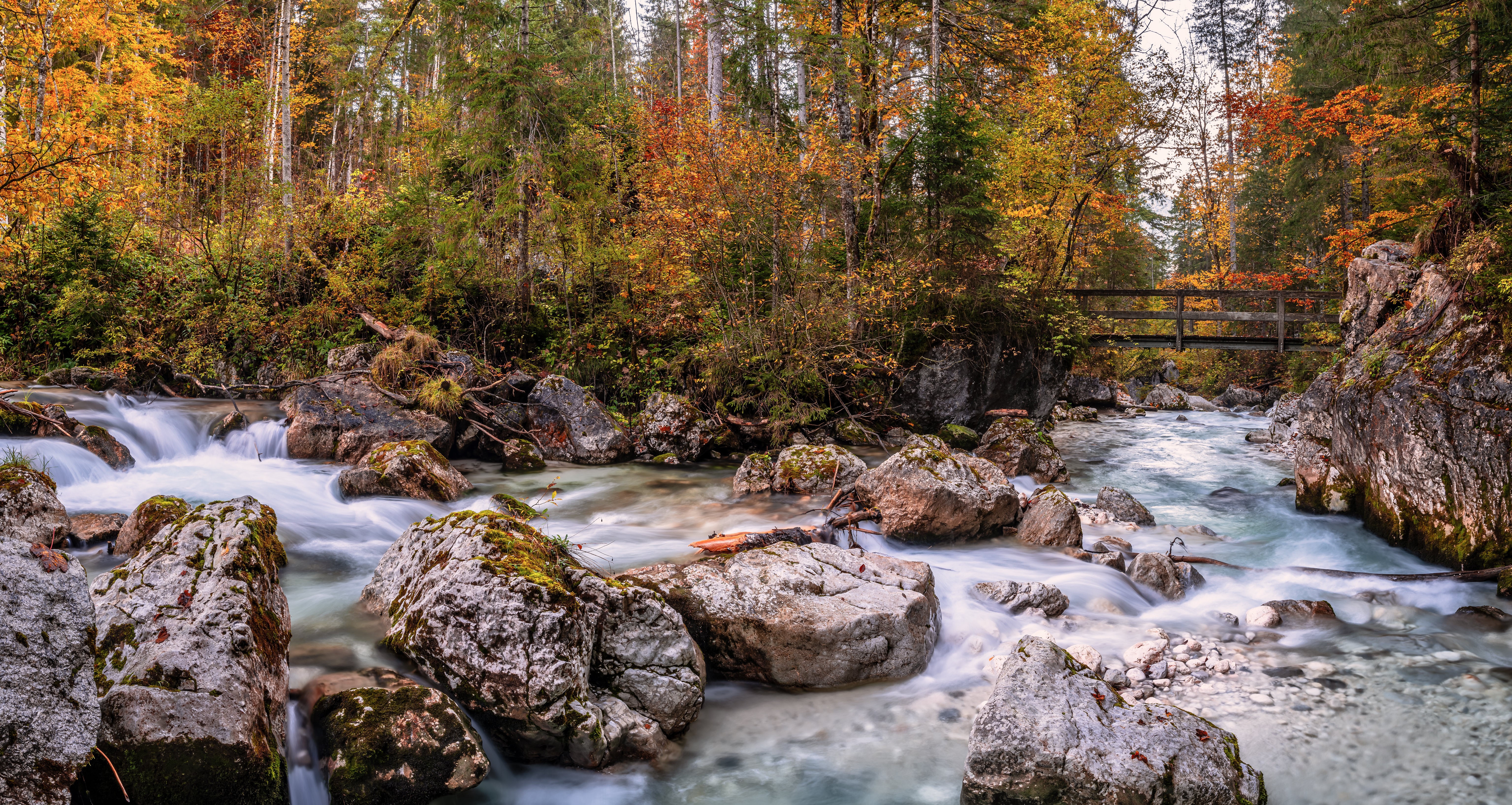 River flowing through autumn forest with wooden bridge in Germany HD Wallpaper