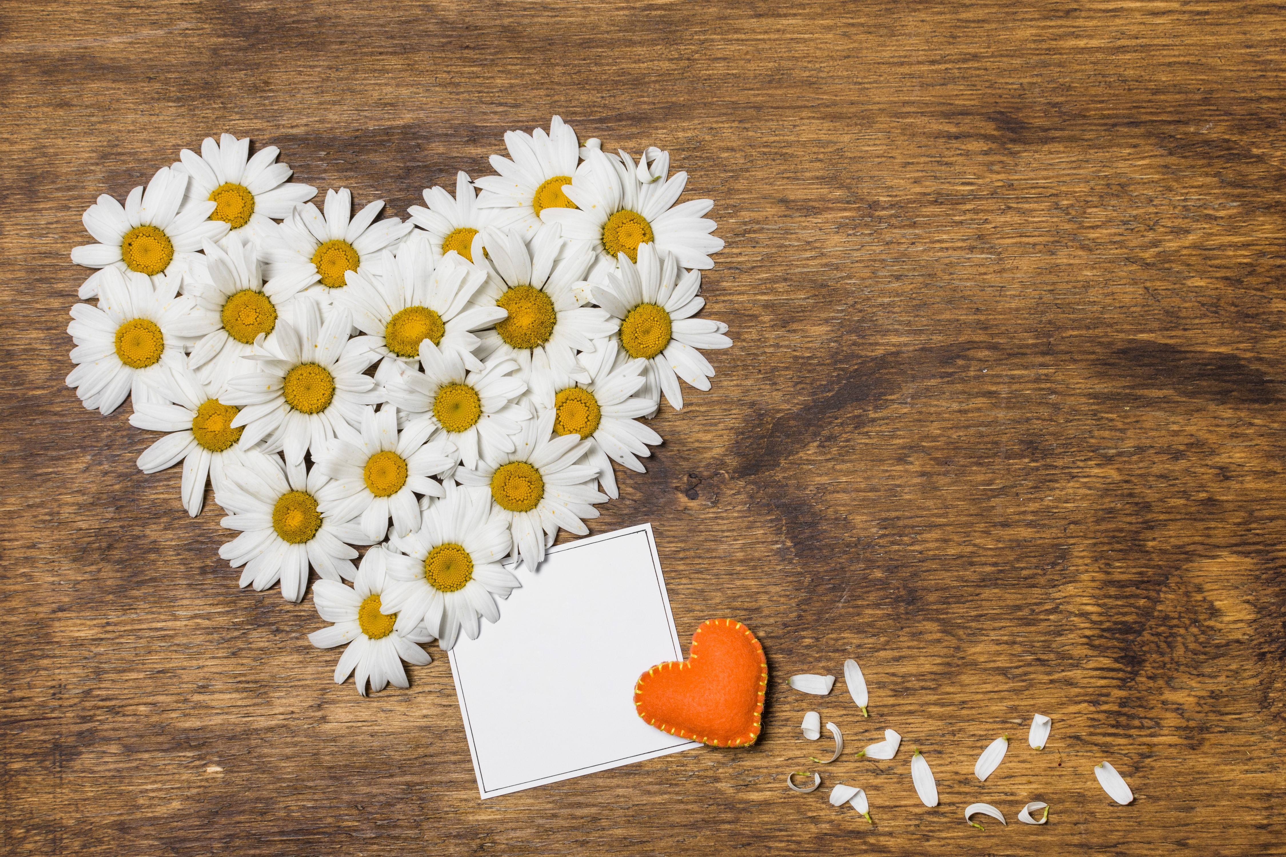 Heart of Camomiles with Orange Heart and Note HD Wallpaper