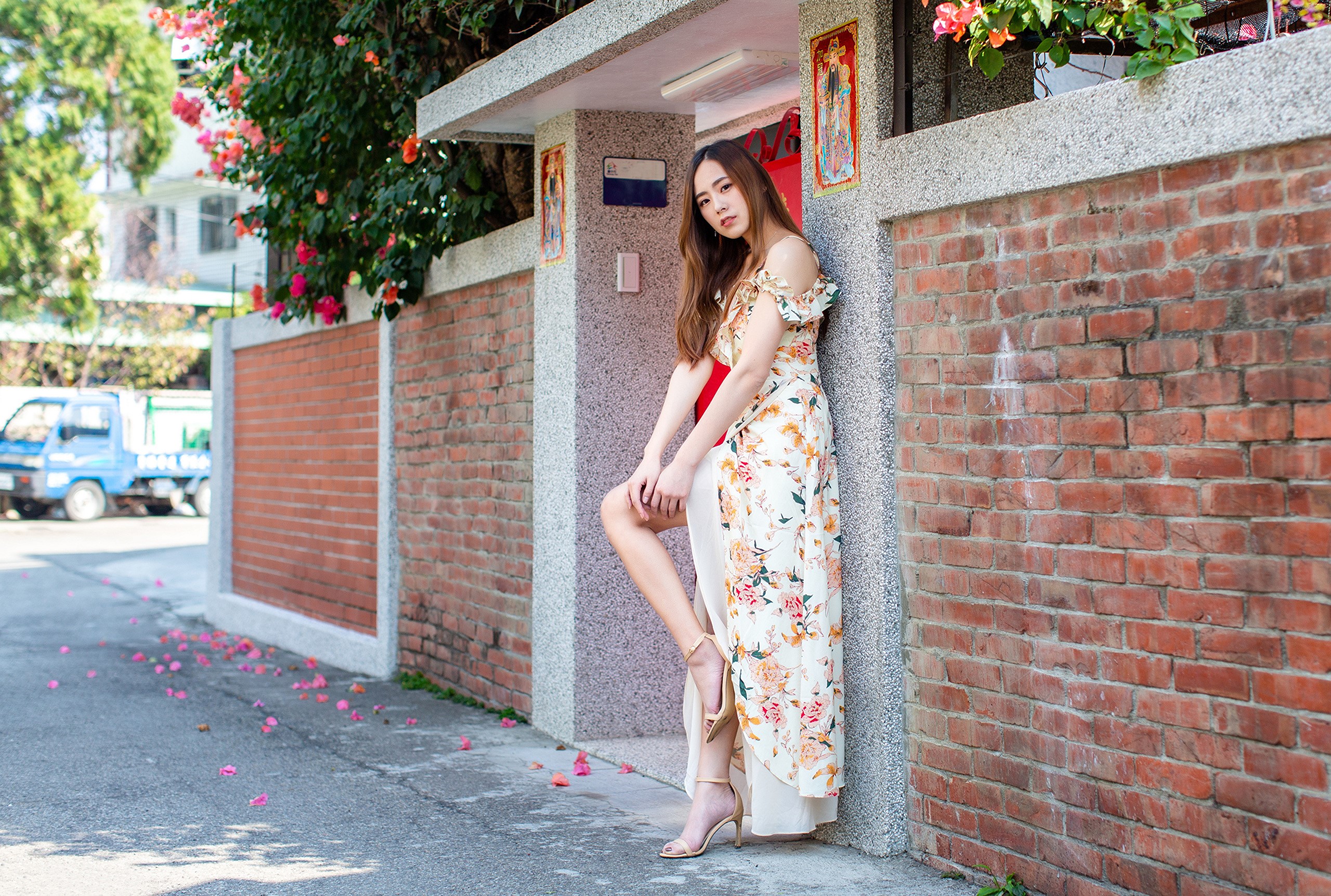 Woman in floral dress posing by brick wall HD Wallpaper