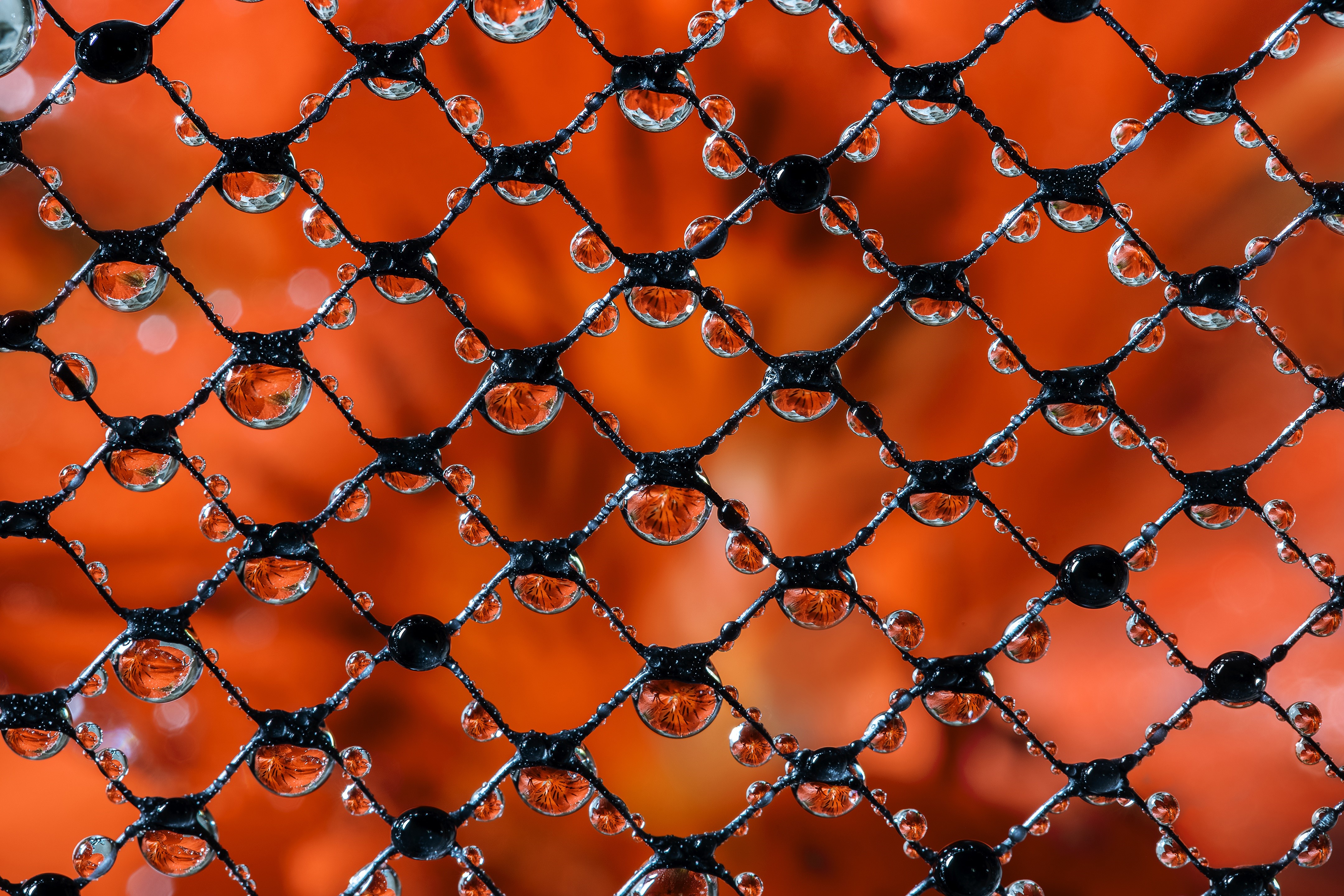 Water Drops on Black Mesh with Orange Background HD Wallpaper