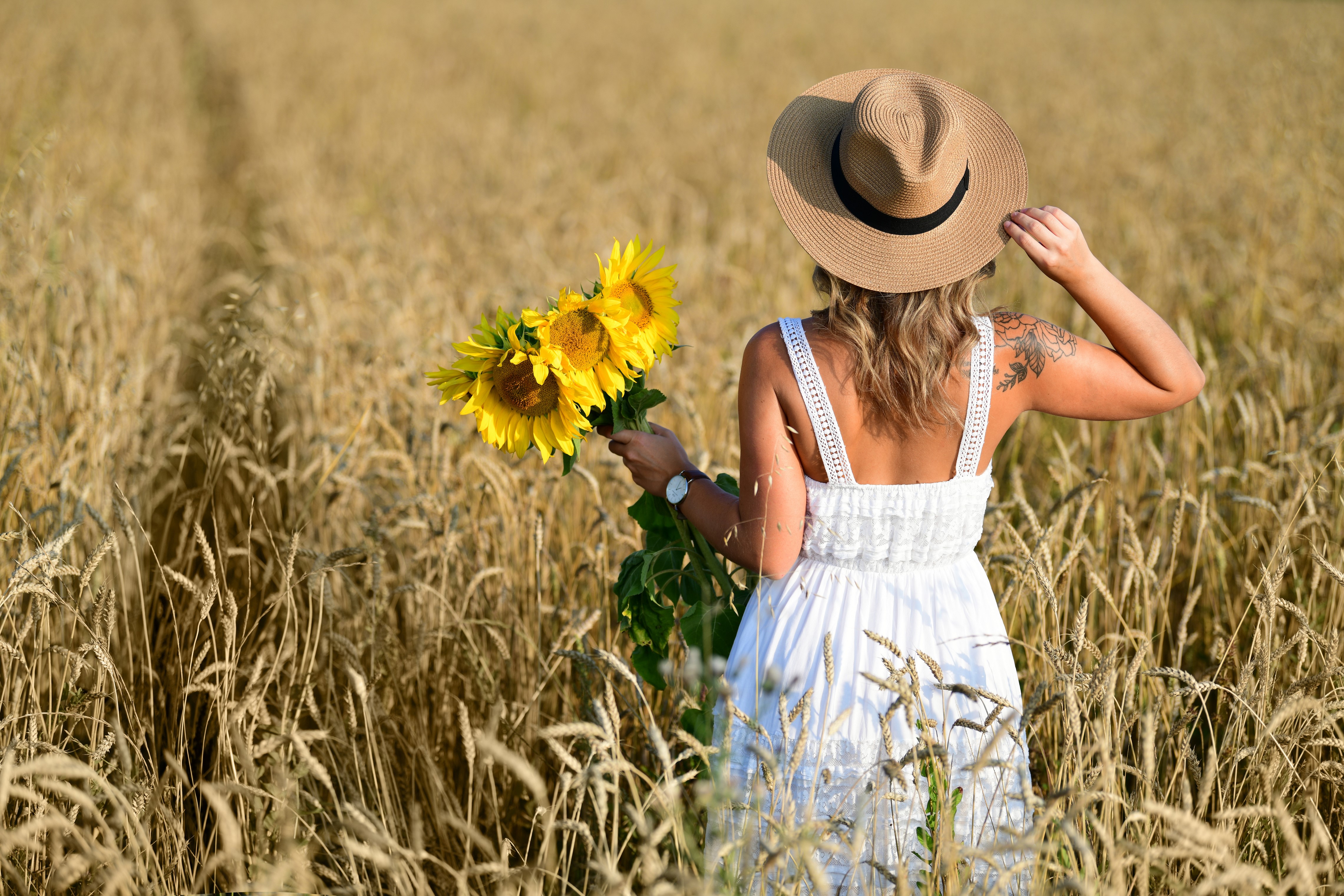 Woman in white dress holding sunflowers in a wheat field HD Wallpaper