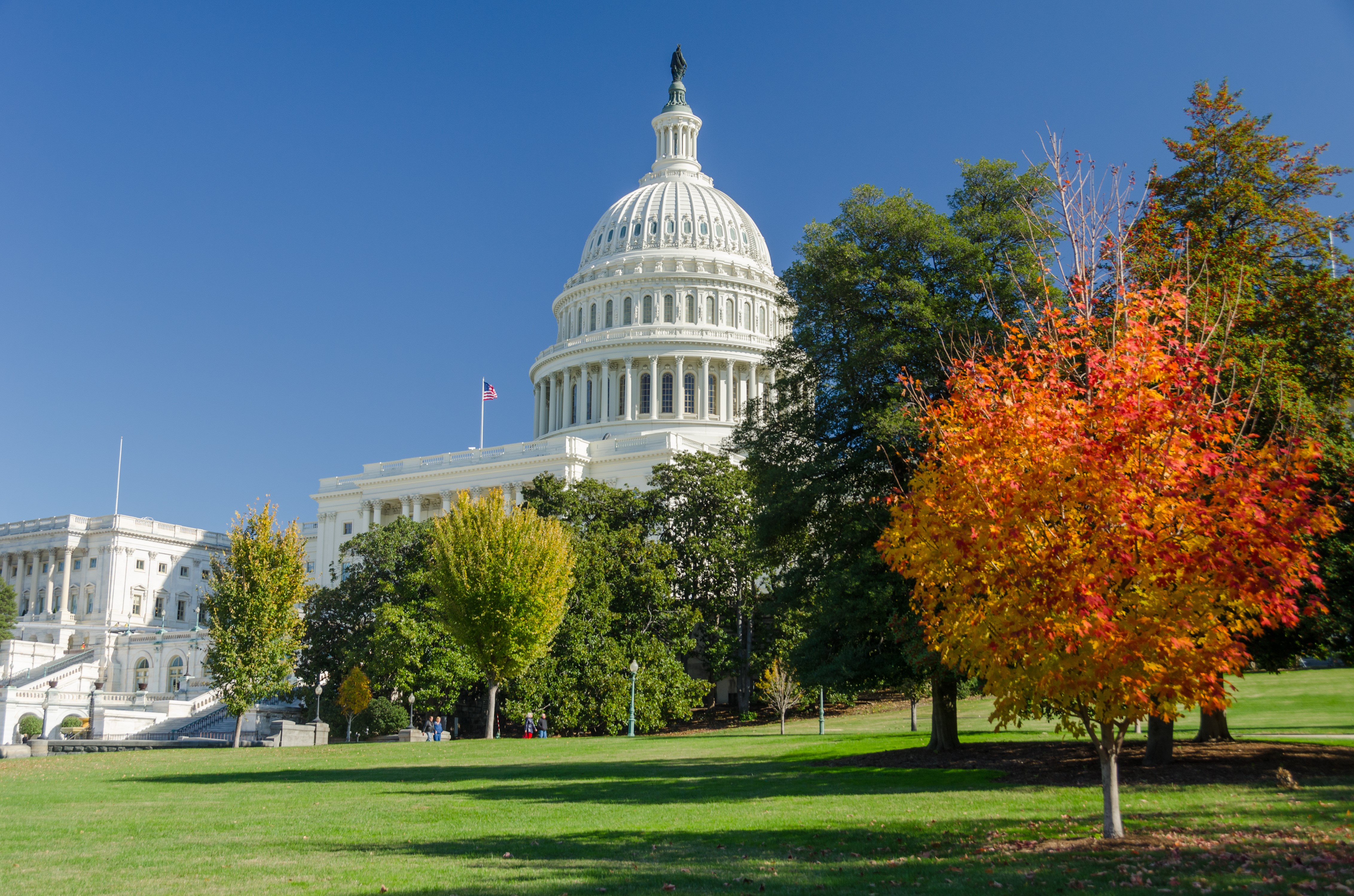 USA Capitol Building in Autumn HD Wallpaper