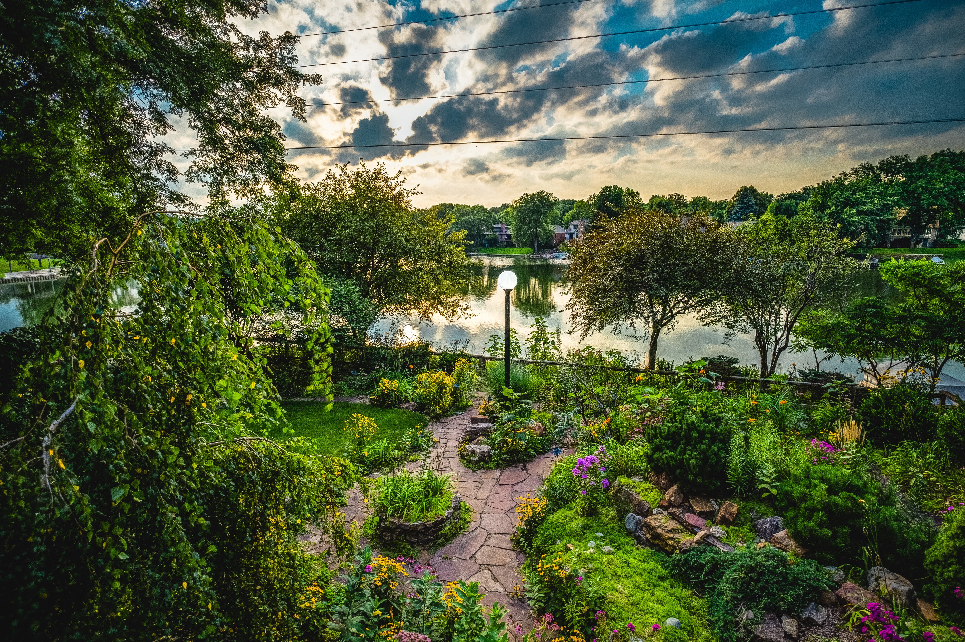 Garden with pond and trees at sunset HD Wallpaper