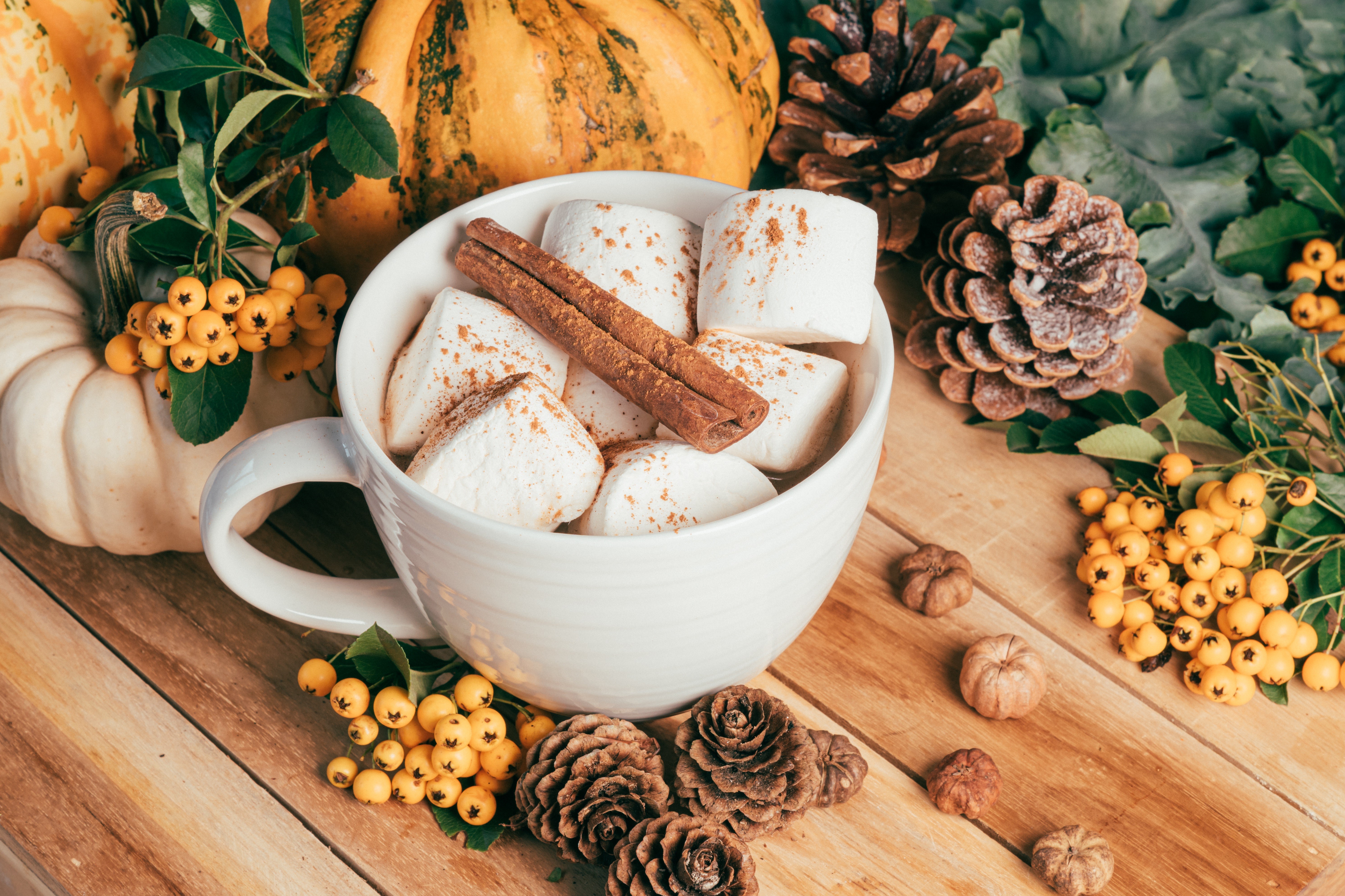 Hot chocolate with marshmallows and cinnamon sticks HD Wallpaper