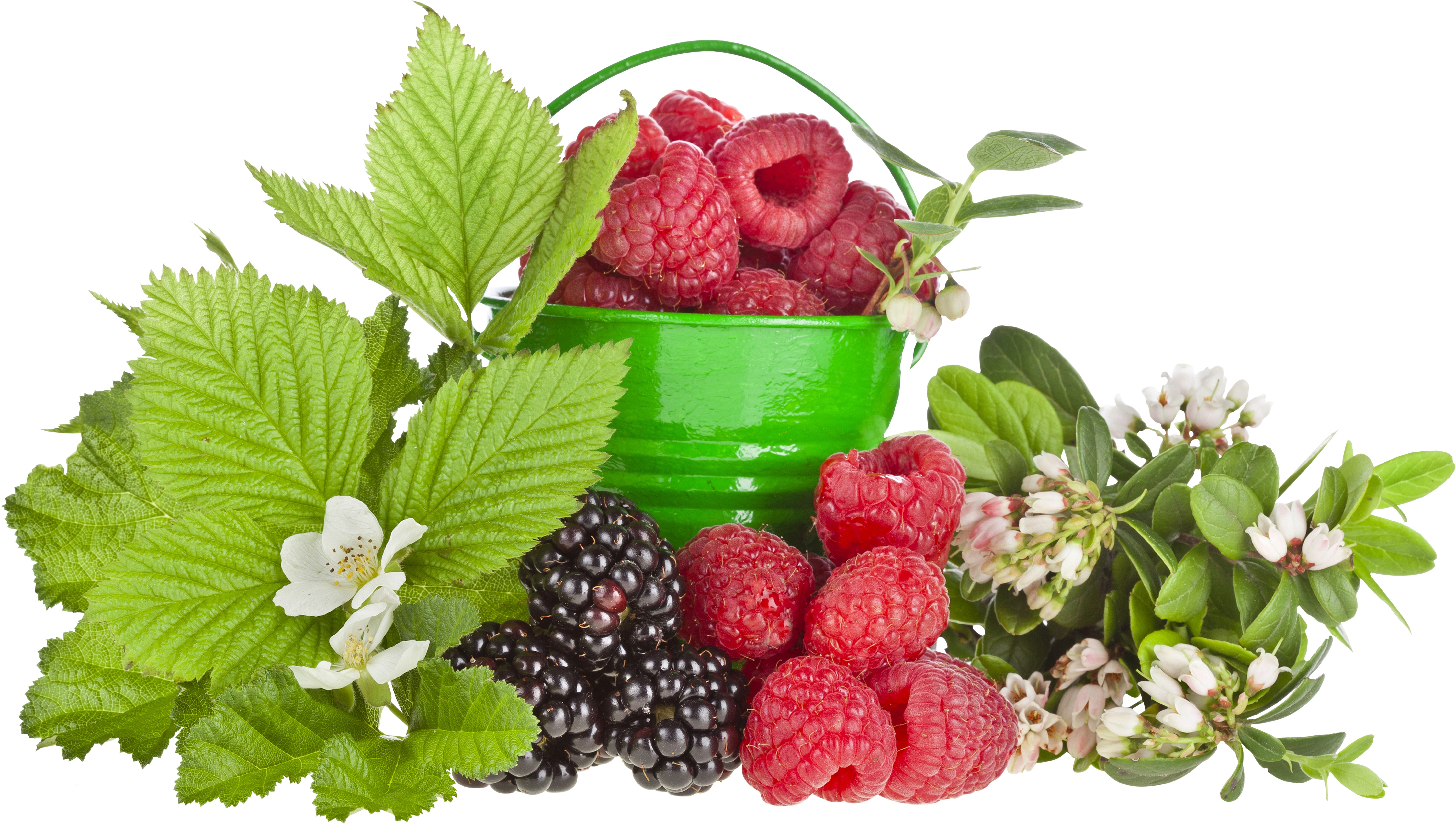 Raspberries and Blackberries in a green bucket with leaves and flowers HD Wallpaper