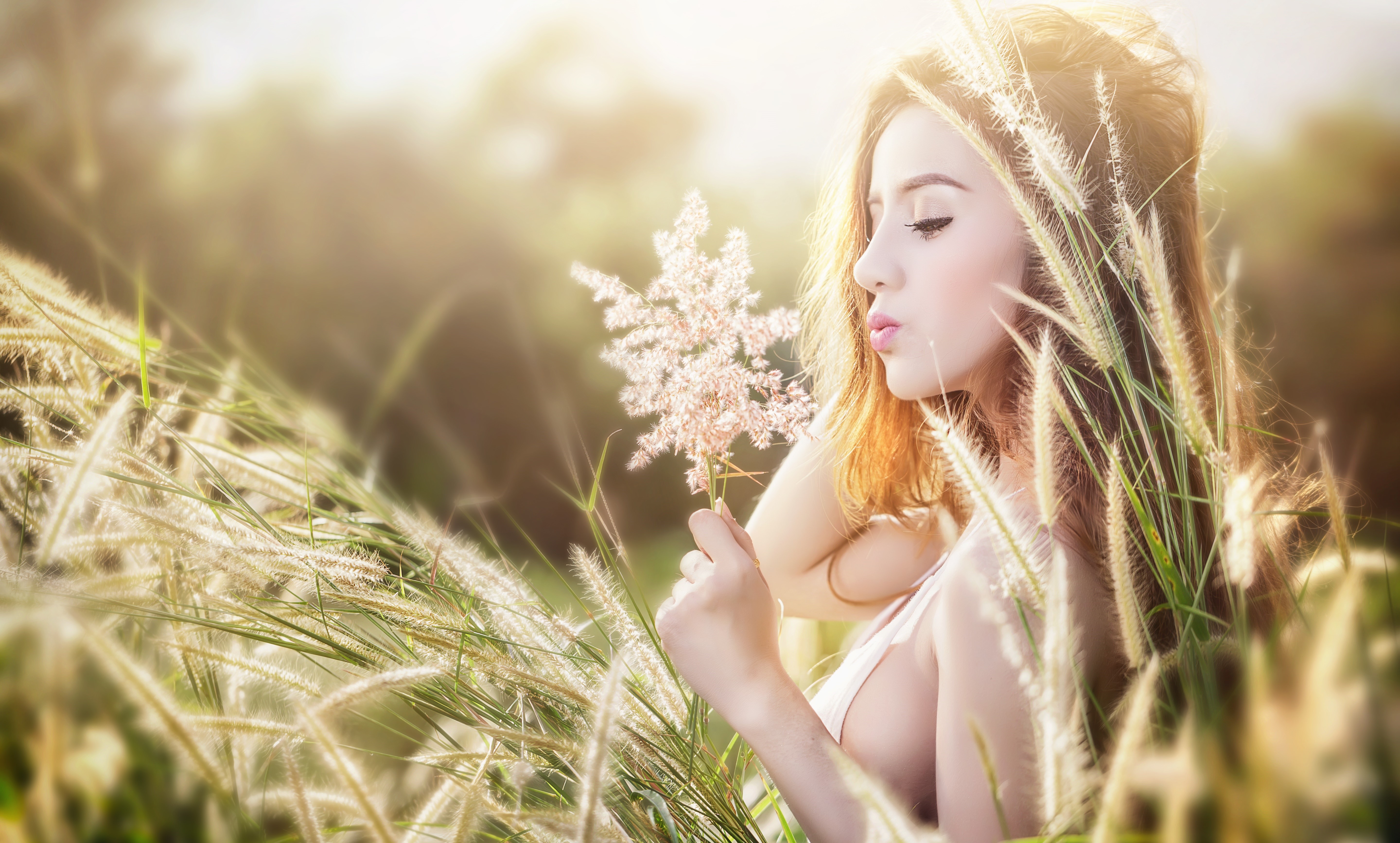 Woman in Grass Holding Flower HD Wallpaper