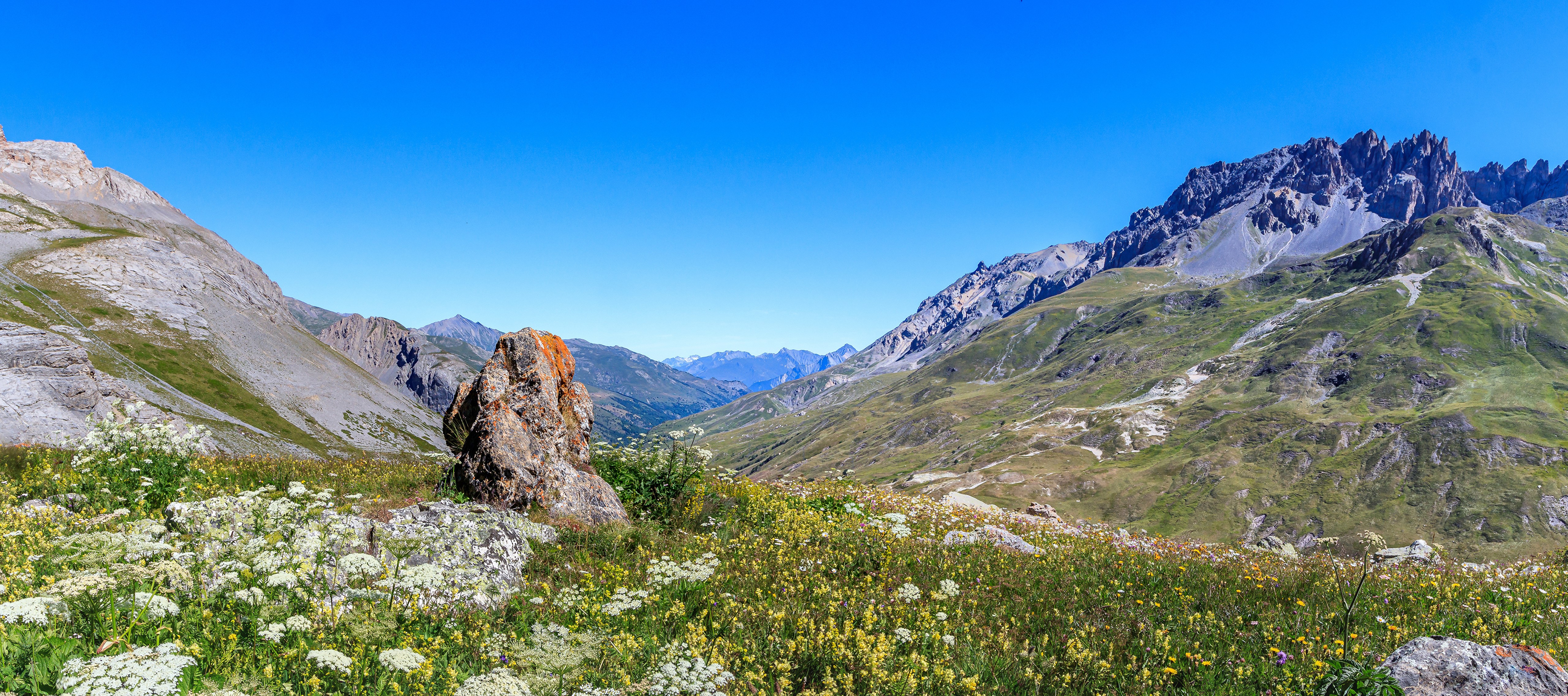 Valloire, France: Alps Mountains with Flowers and Stones HD Wallpaper