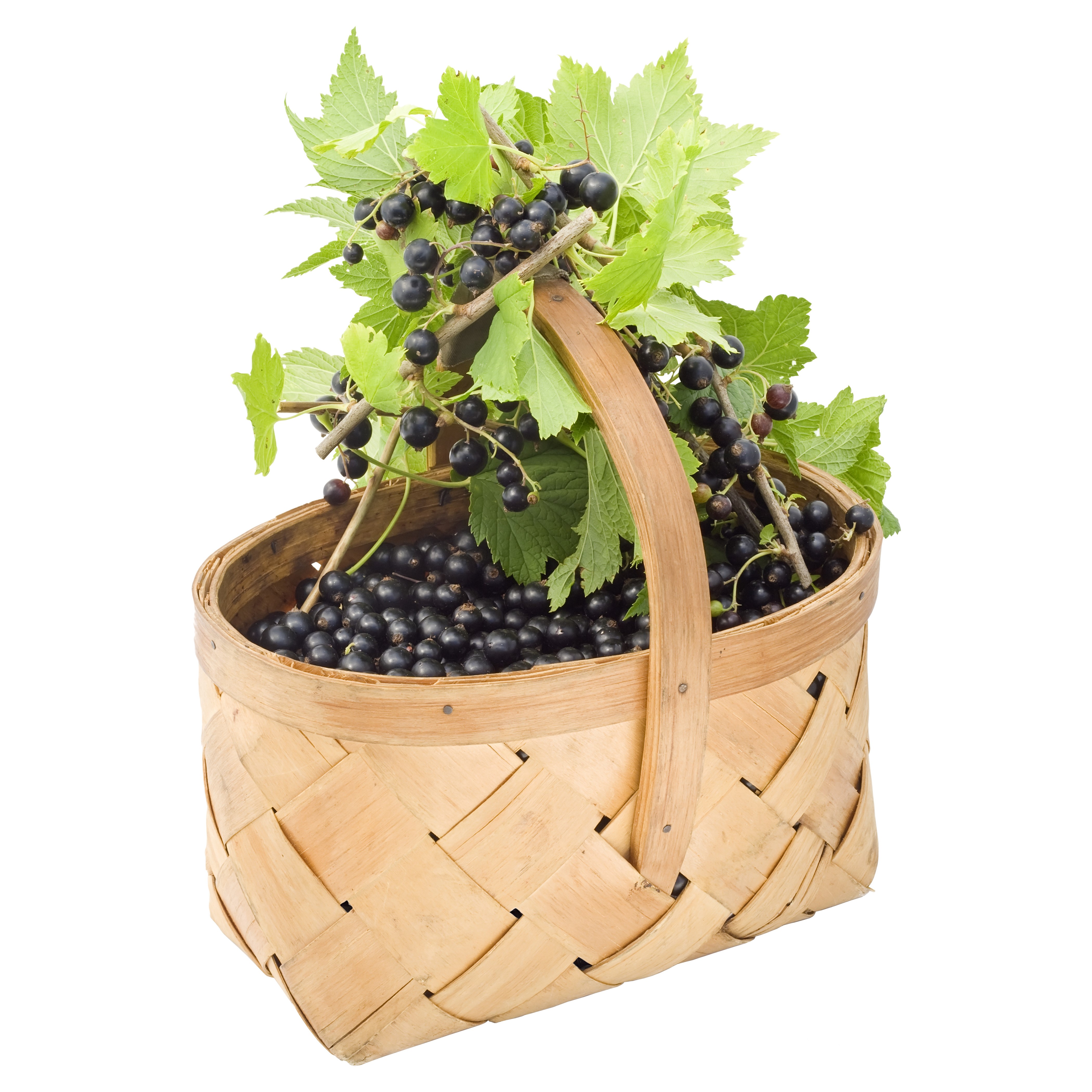 Blackcurrants in a Wicker Basket HD Wallpaper