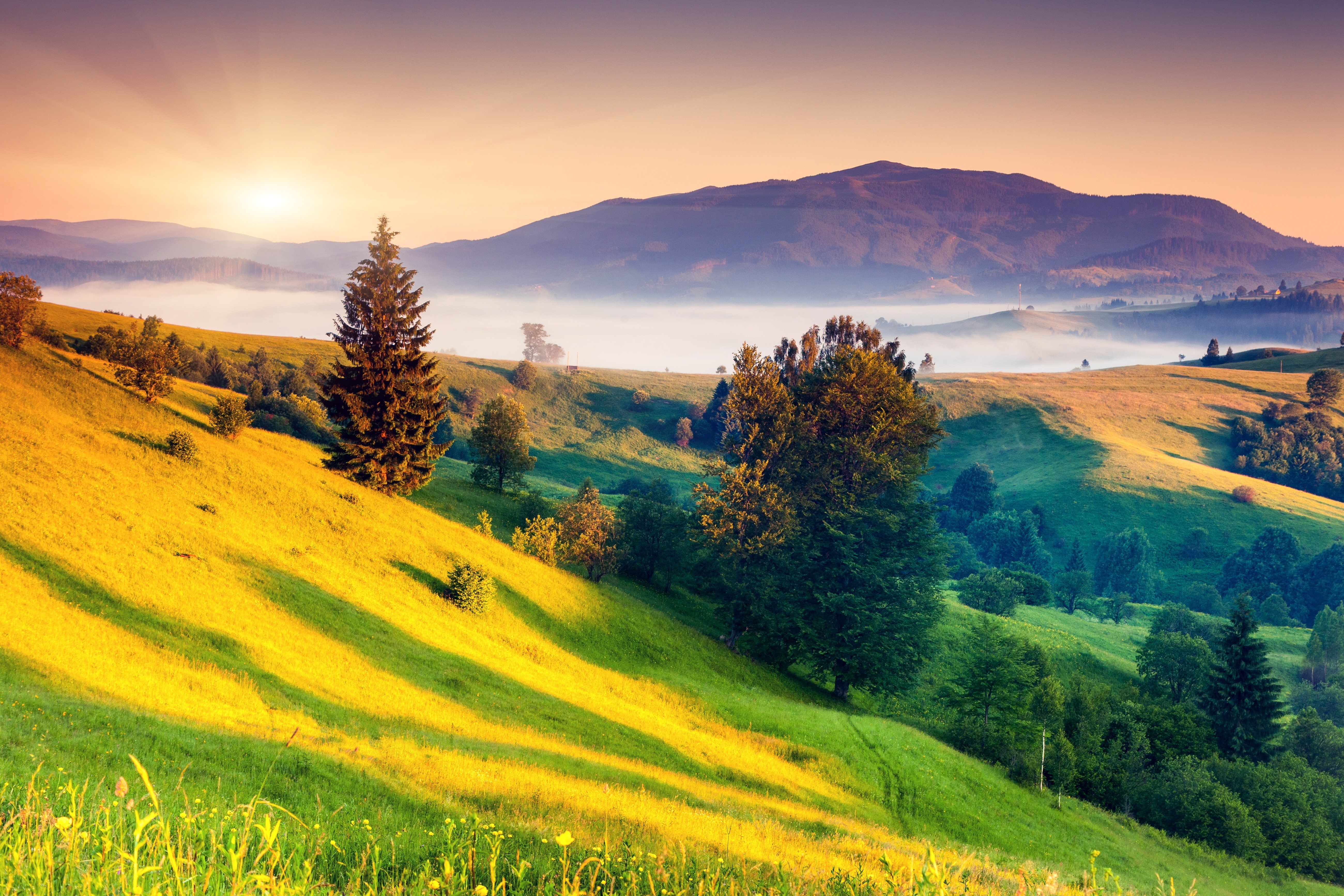 Sunrise over misty mountains and grassy hills HD Wallpaper