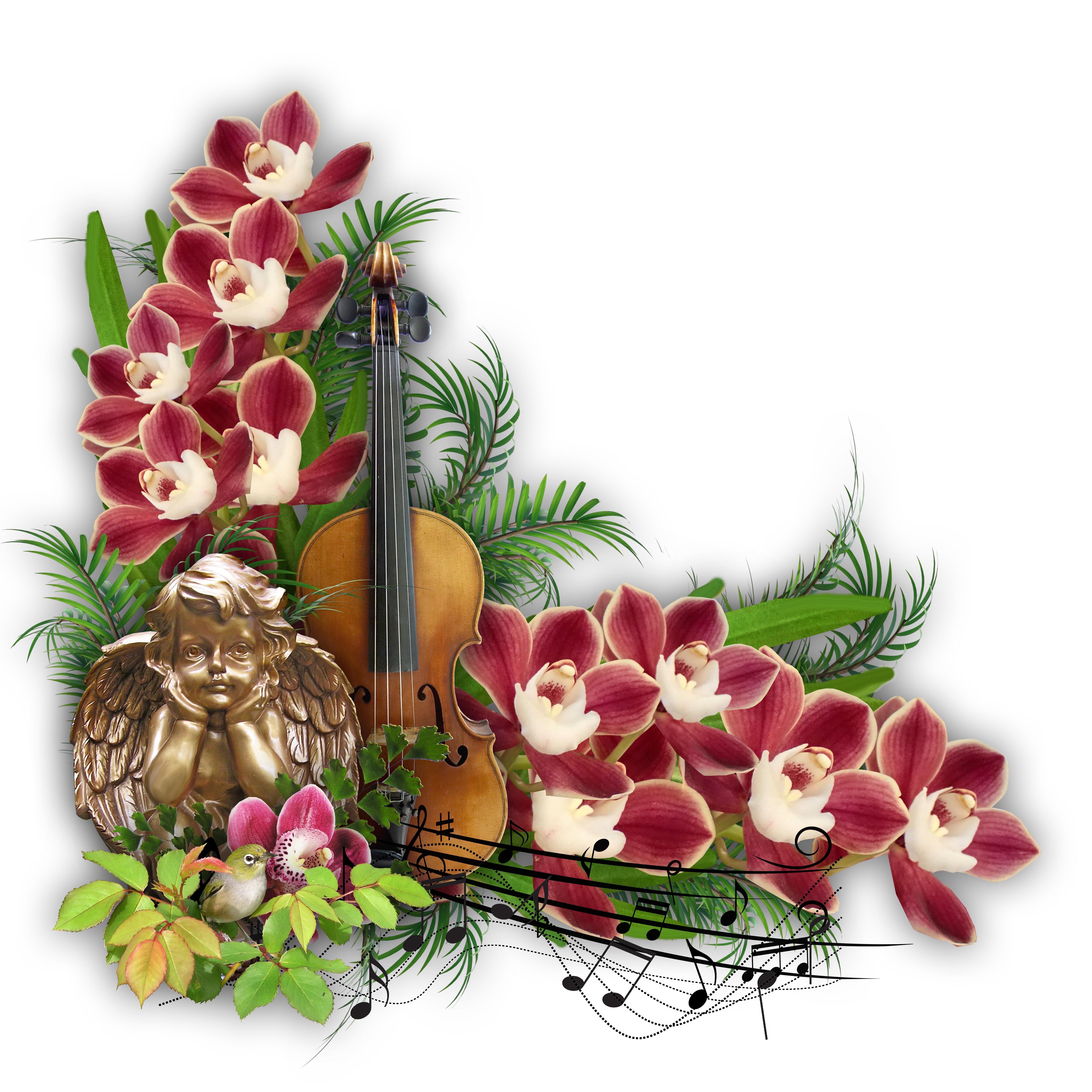 Orchid and Violin Arrangement with Angel Figurine HD Wallpaper