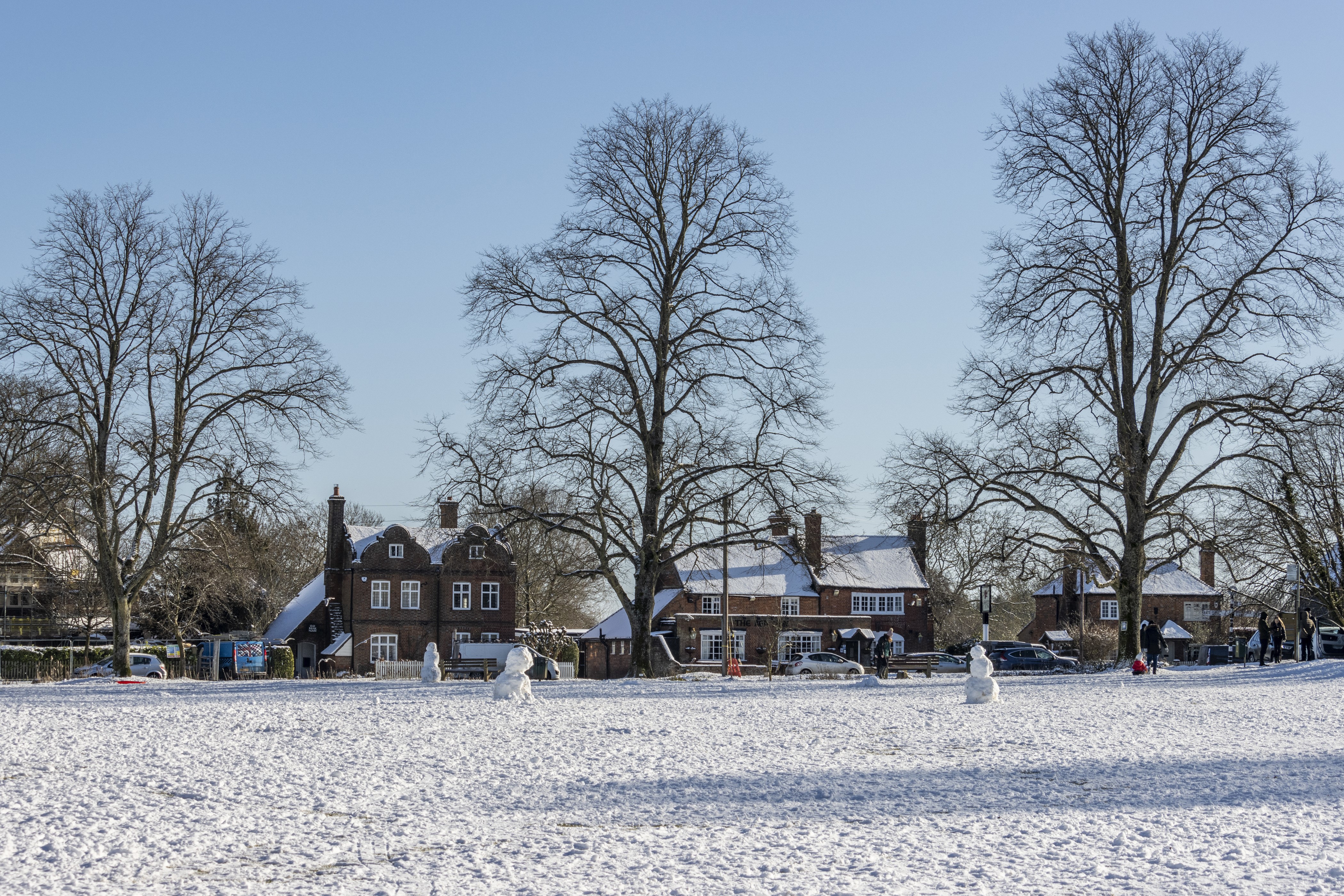 Snowy village with houses and bare trees HD Wallpaper