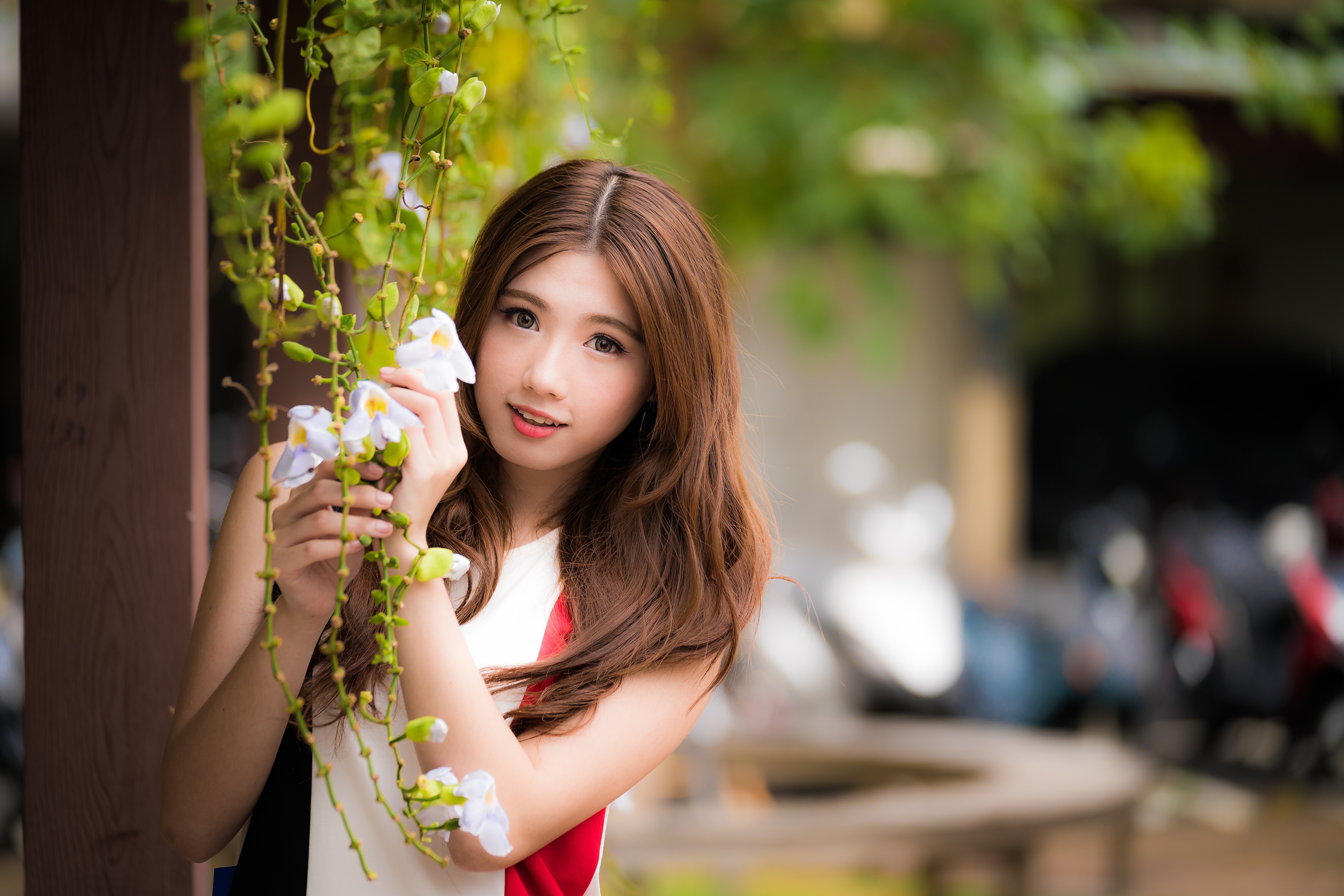 Asian woman with brown hair holding flowers HD Wallpaper