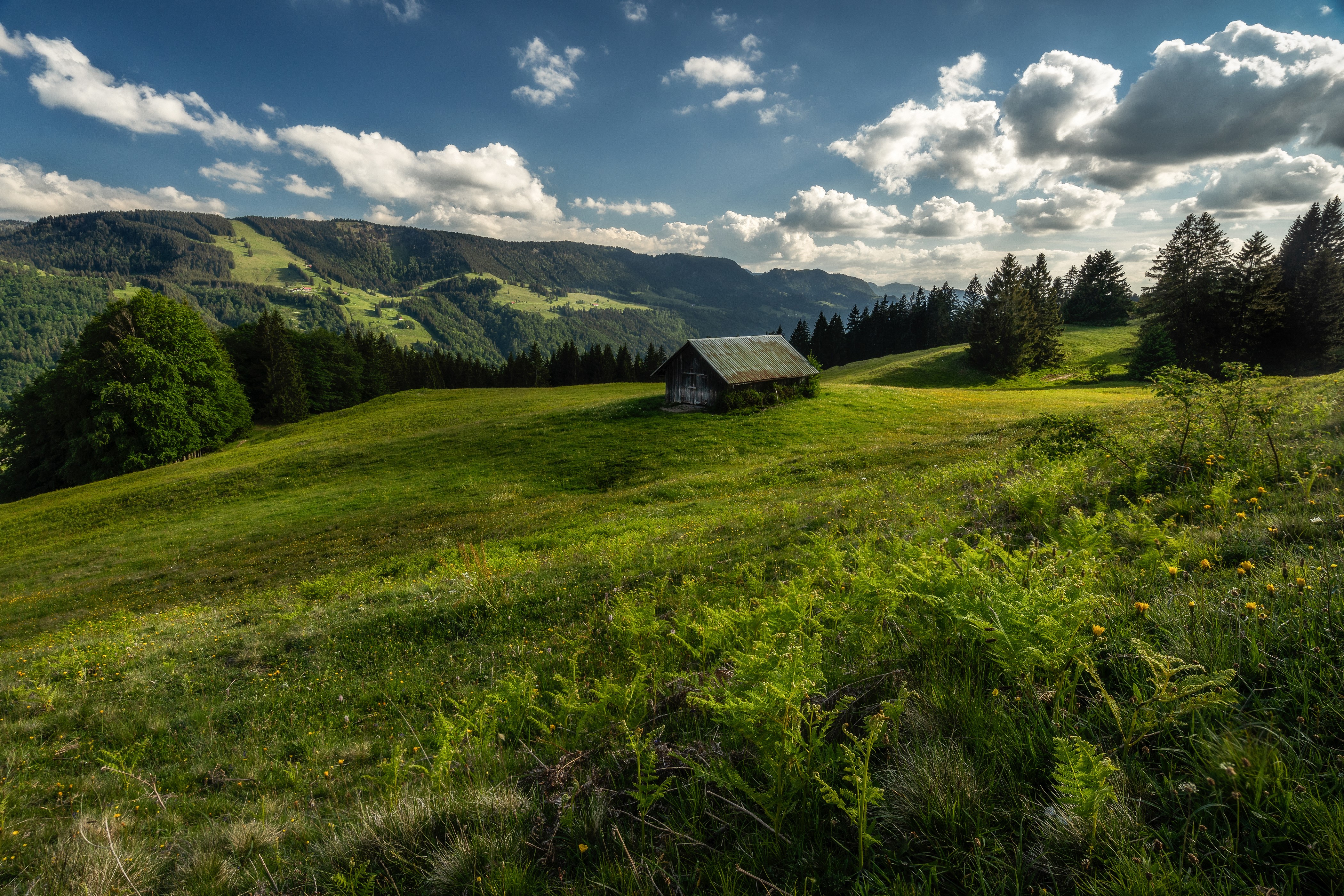 Wooden cabin on a grassy hill in Germany HD Wallpaper